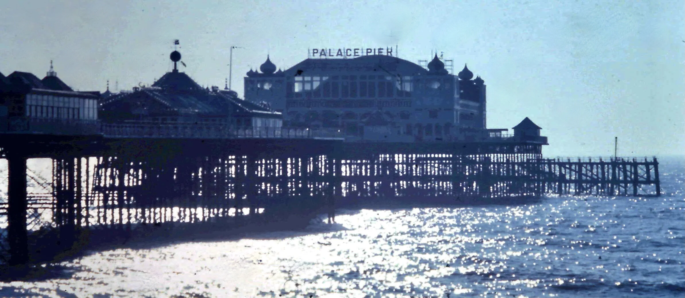 12-27-2010_013.JPG
