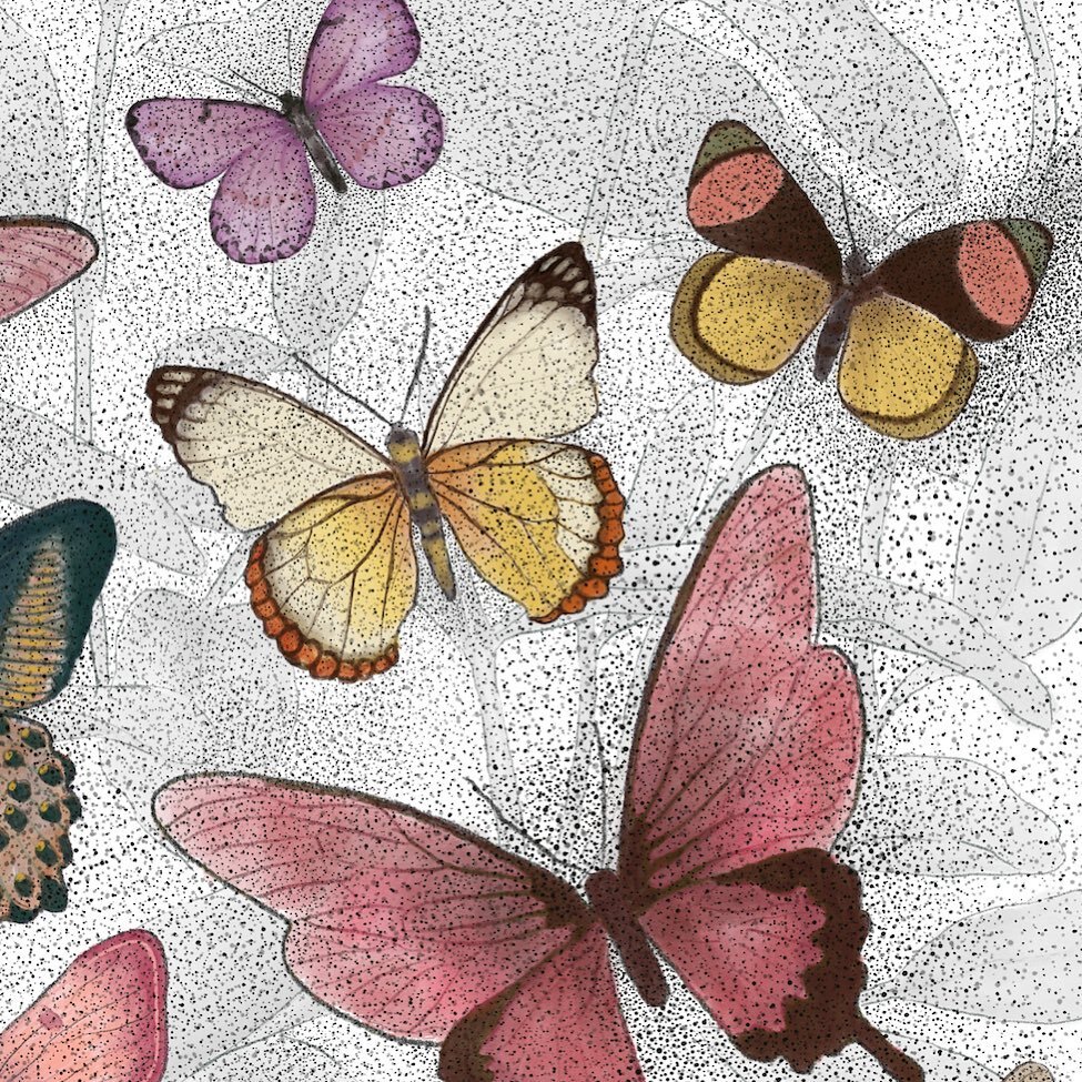 Sneak peek 🫣 of the pretty Butterfly Art Print flying your way July 31st. 🪄 Every time I see a butterfly, I&rsquo;m always mesmerized by them. I become a kid all over again as my eyes chase them.
.
.
#butterfly #butterflies #nature #butterfliesofin