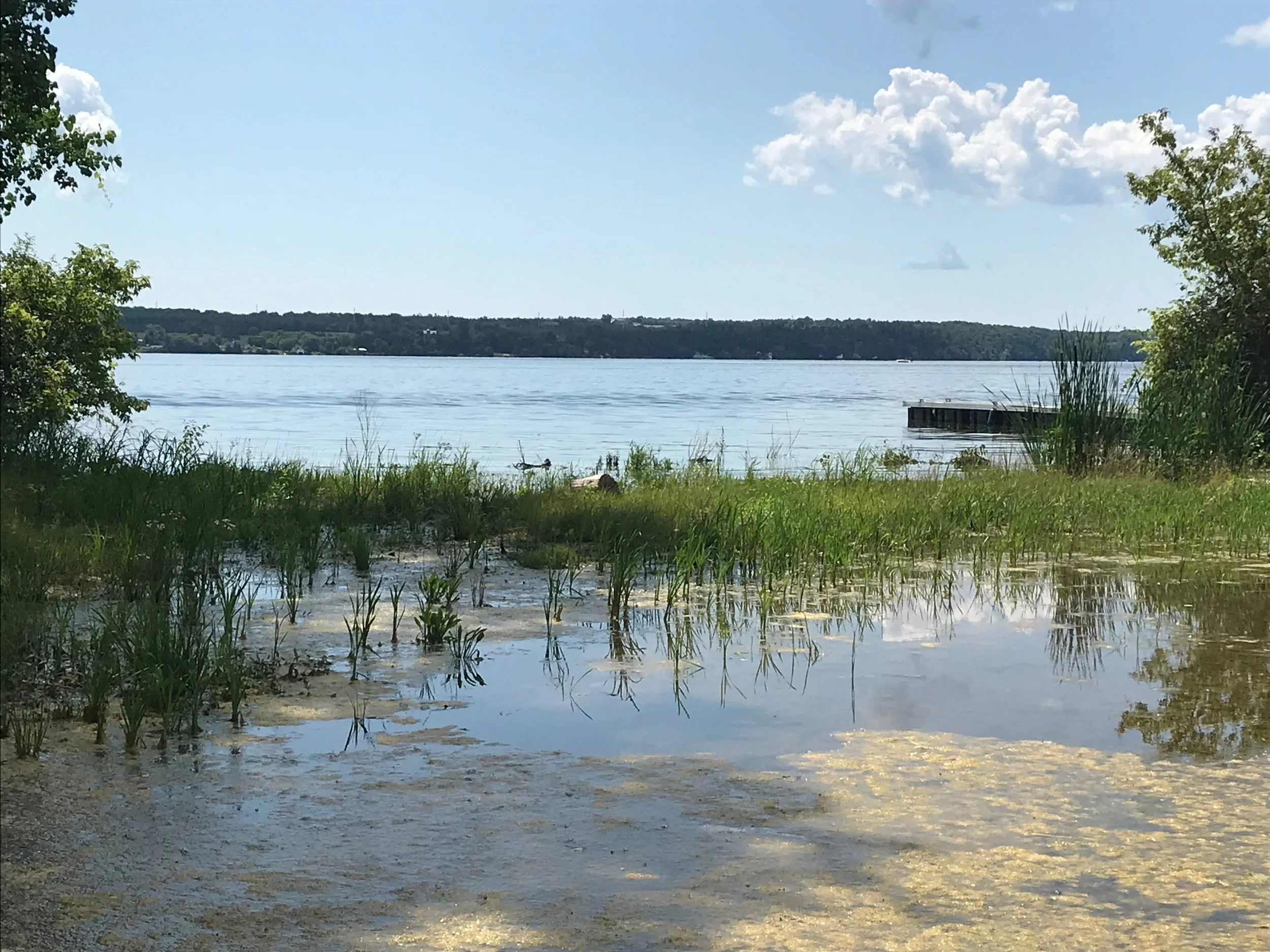 Deseronto Water Levels Remain High 