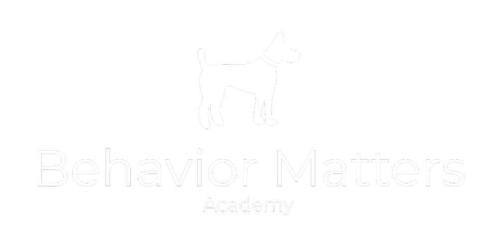 Behavior Matters Academy