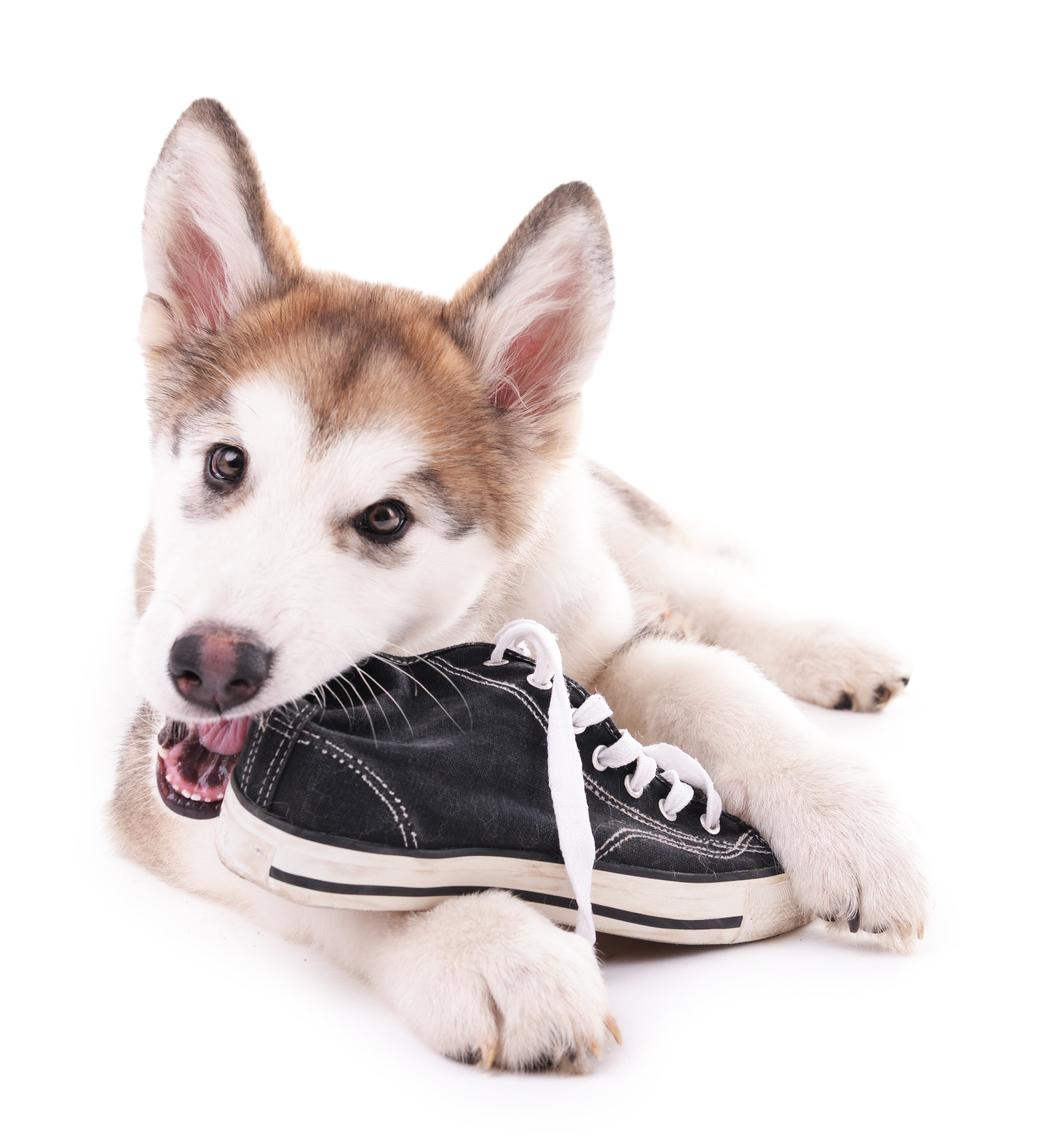 AdobeStock_88585177.jpeg