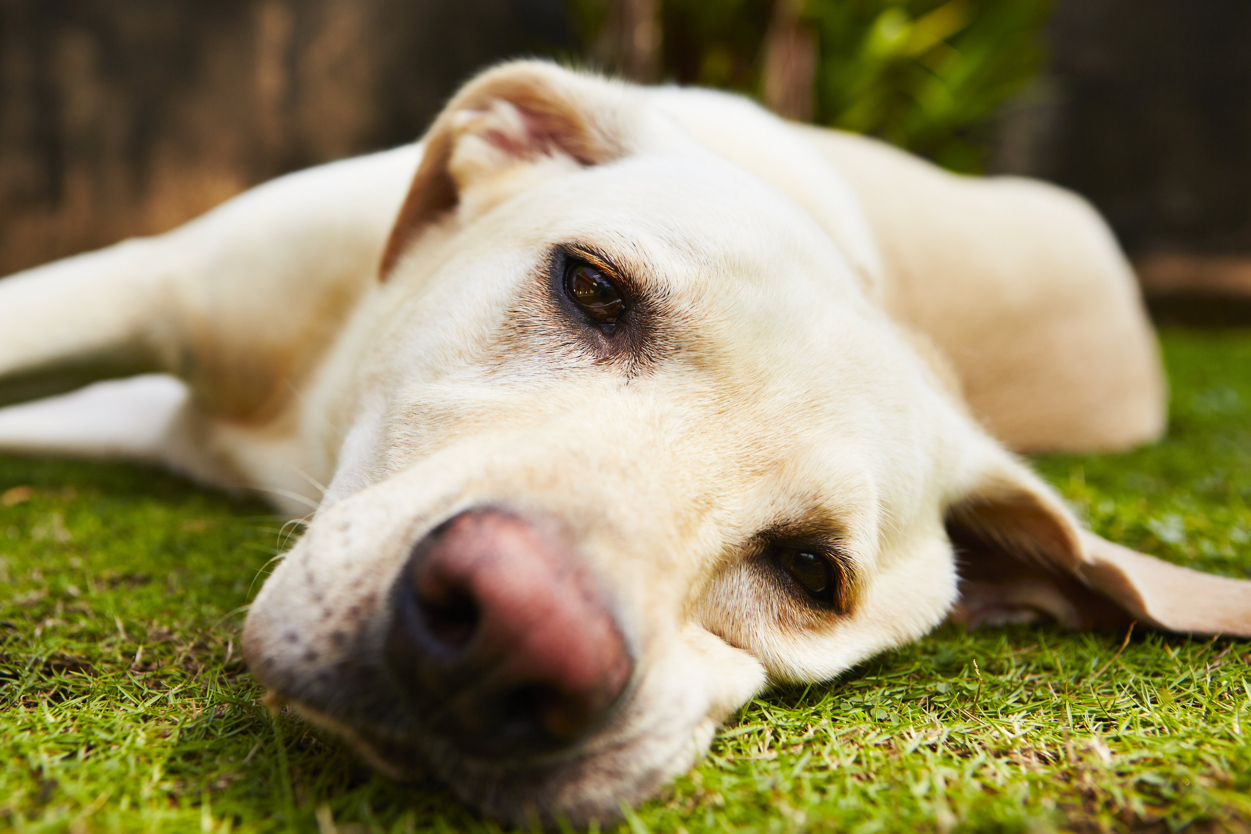 AdobeStock_57730031.jpeg
