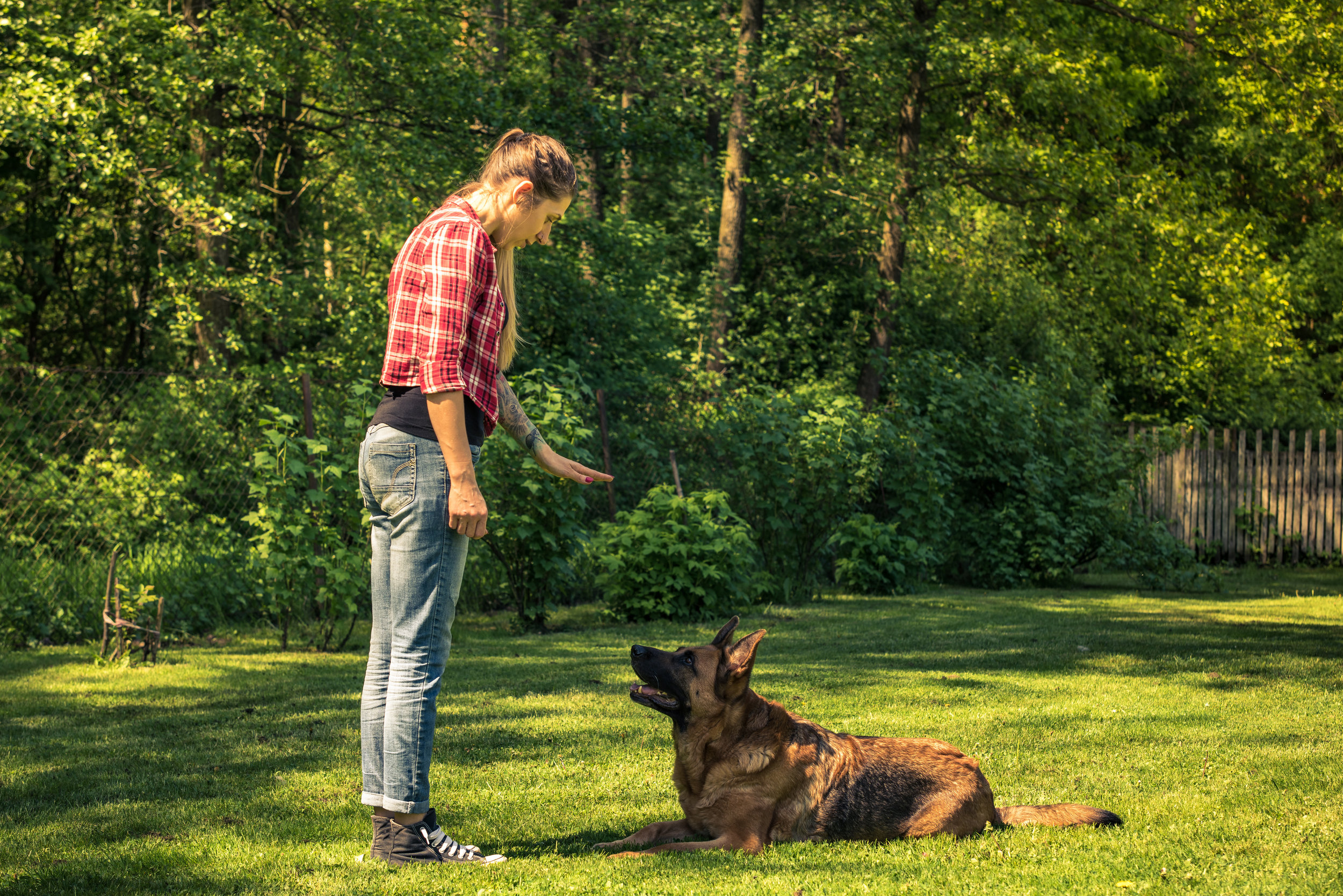 AdobeStock_204424659.jpeg