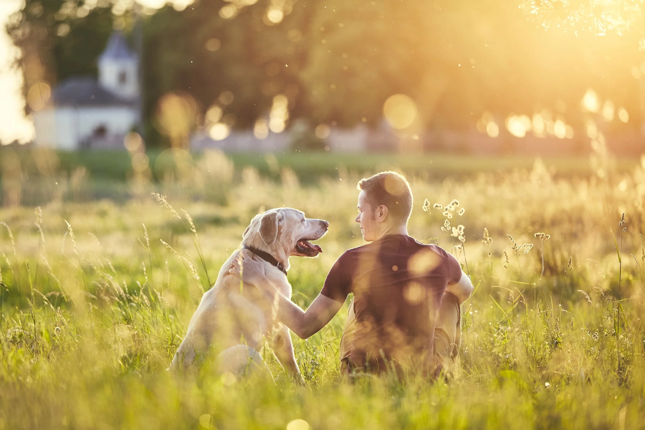AdobeStock_206241017.jpeg