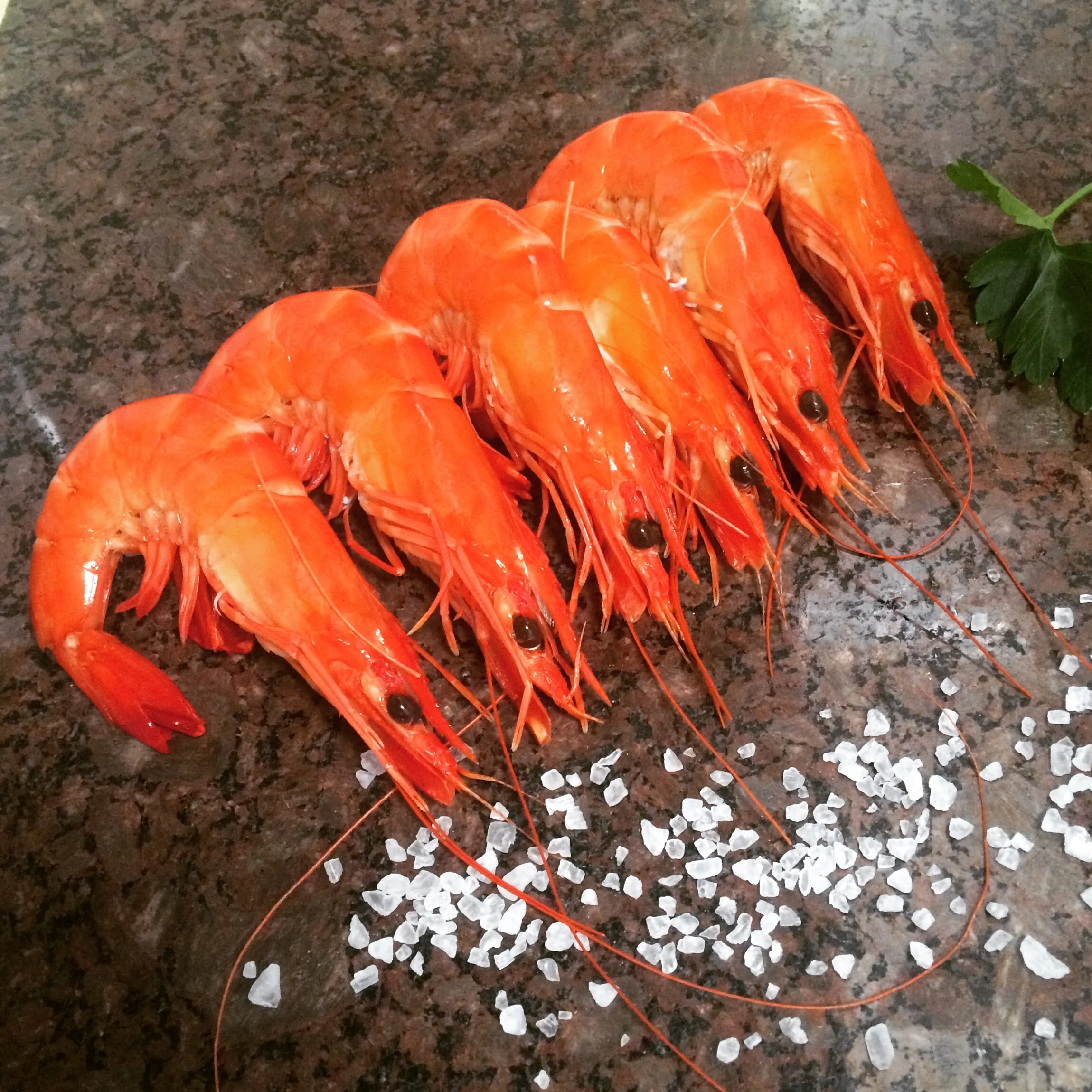 Cooked Tiger Prawns