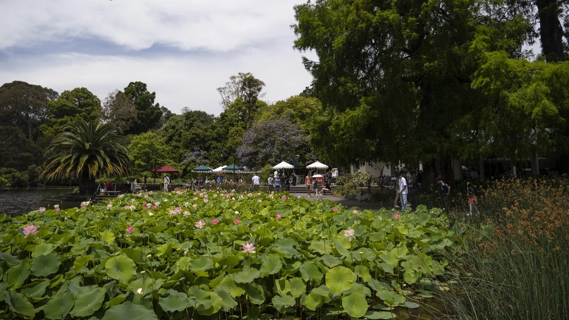 P1046943.jpg