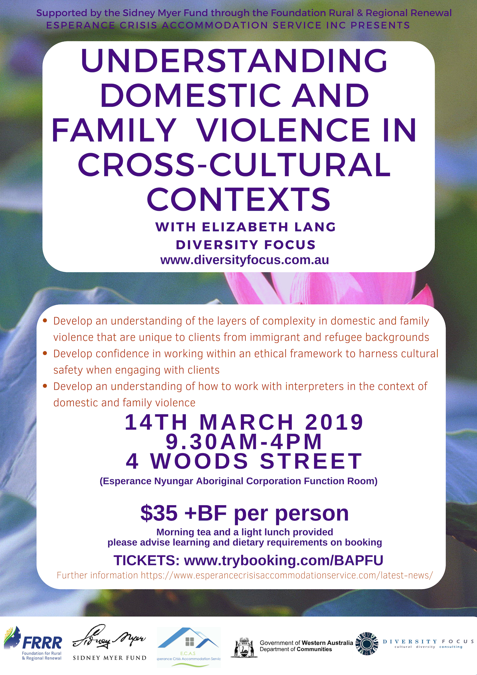 understanding domestic and family violence in cross-ultural contexts.jpg