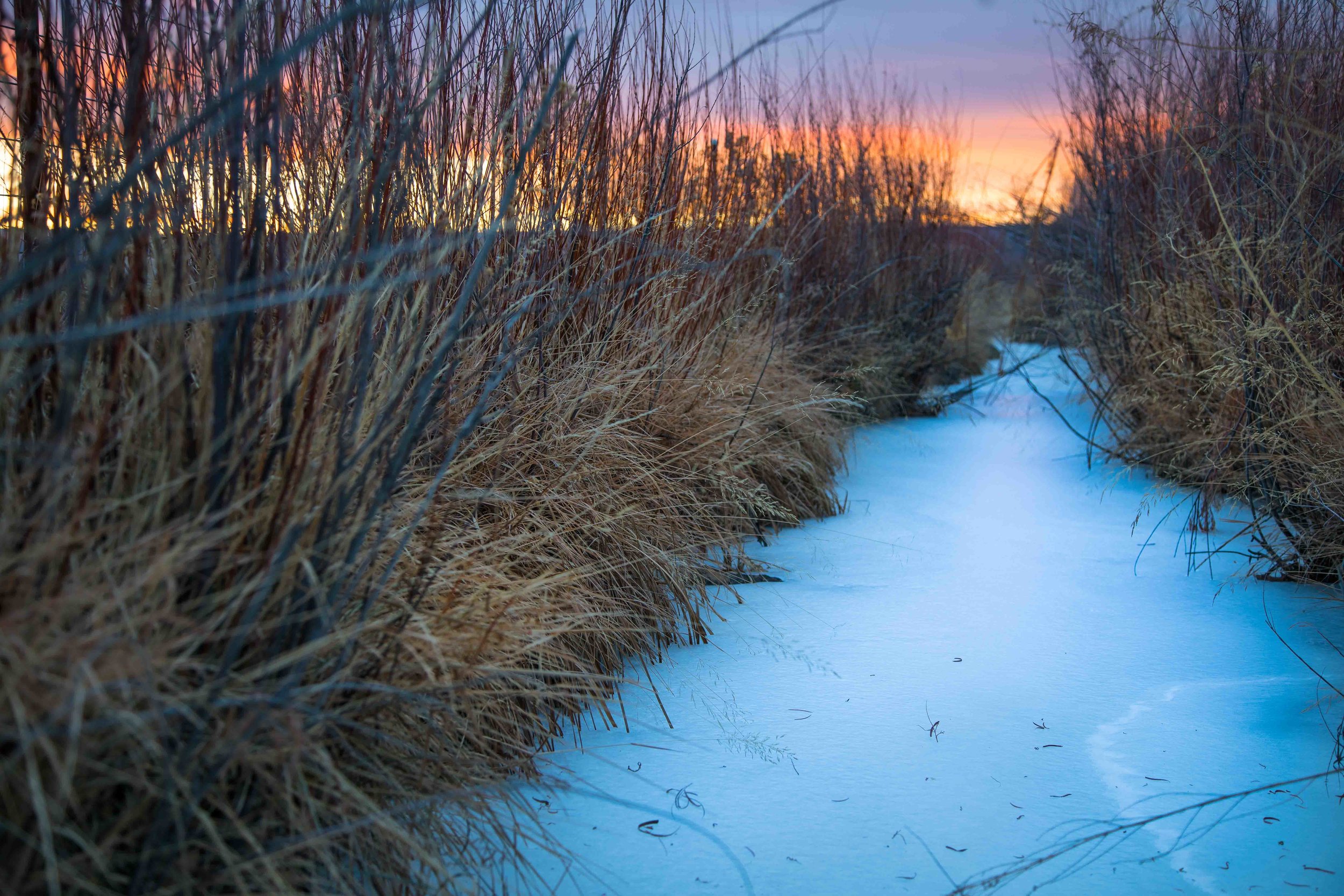 Ice Way
