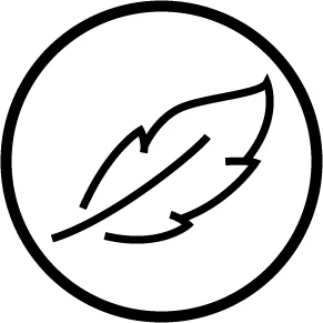 feather_favi.jpg