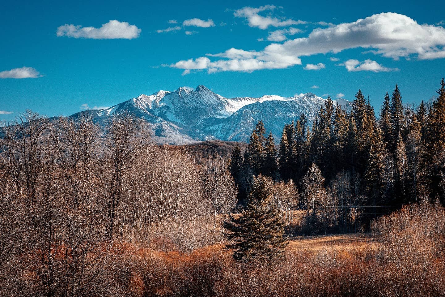 A nice simple day out in the mountains. 
.
.
.
#colorado #landscape #coloradolife #landscape_lovers #coloradogram #landscapephotography #coloradotography #landscapes #colorado_creative #nature #landscapelovers #coloradolove #naturephotography #landsc