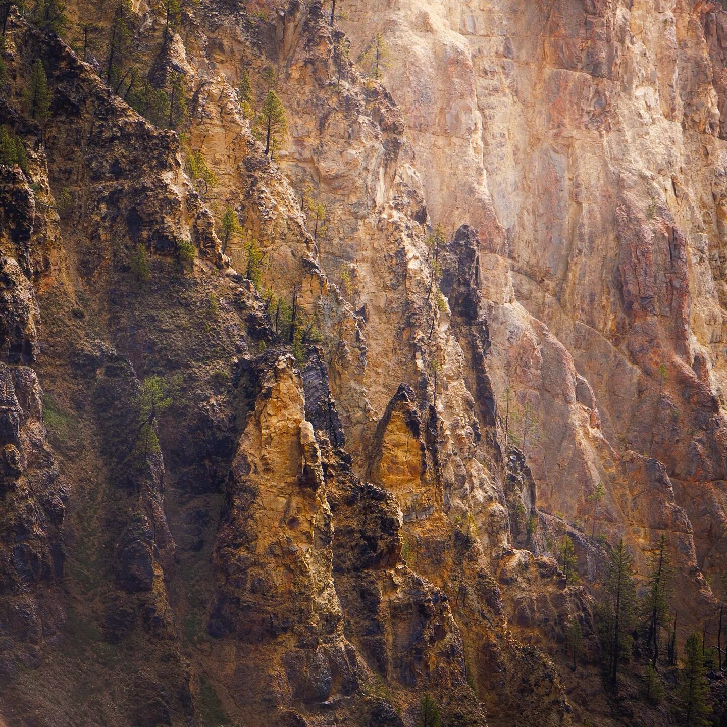 Everyone else was busy snapping rainy photos of Yellowstone falls while I grabbed this little abstract scene.

One of my favorite things is trying to pick out small scenes with a telephoto in HIGHLY popular areas. It's a fun challenge. This is a fair