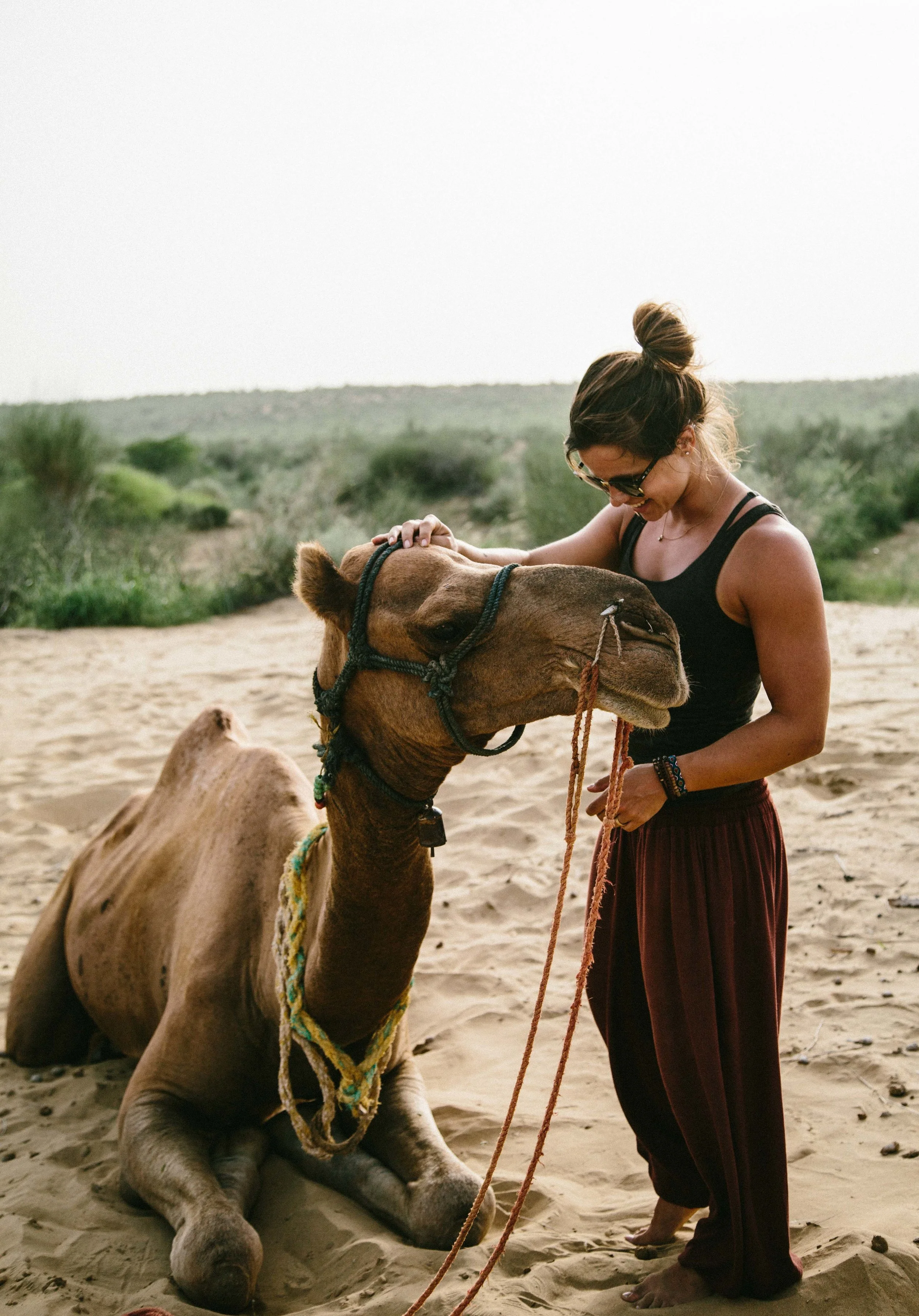 india2_jaislamer_camel-14.jpg