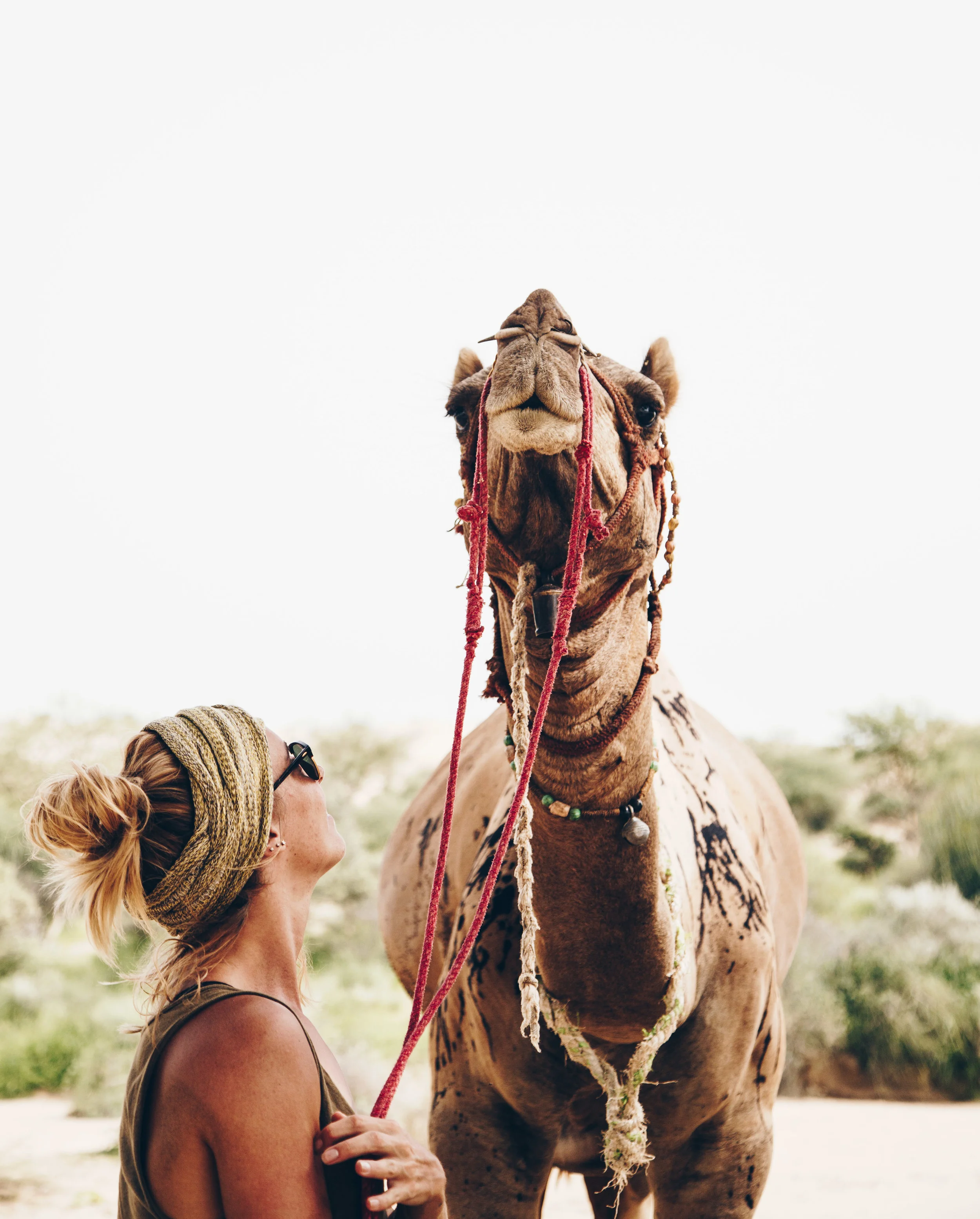 india2_jaislamer_camel-5.jpg