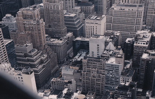 New York Highlights
