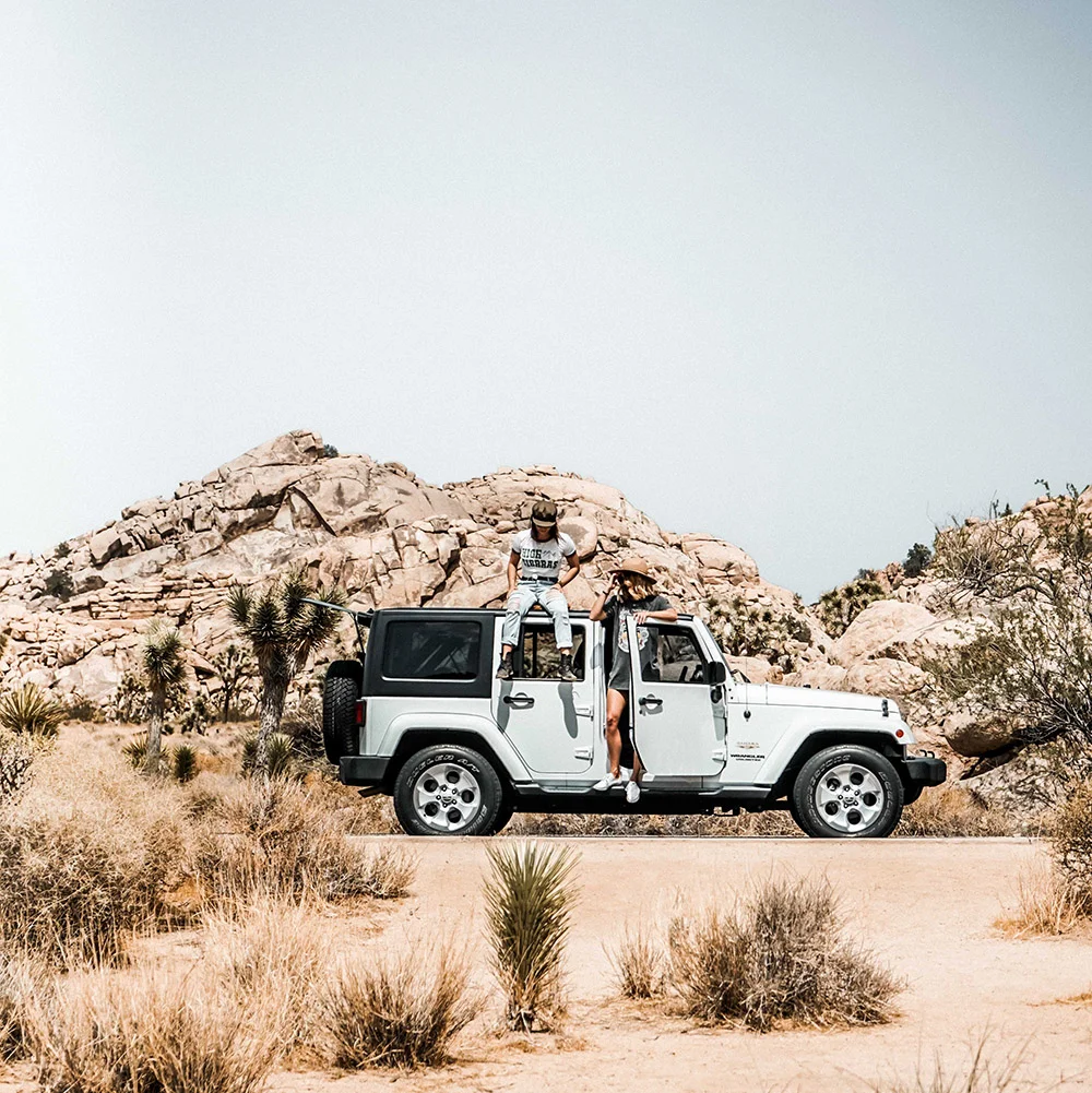 joshua-tree-jeep-lens-and-paperback.jpg