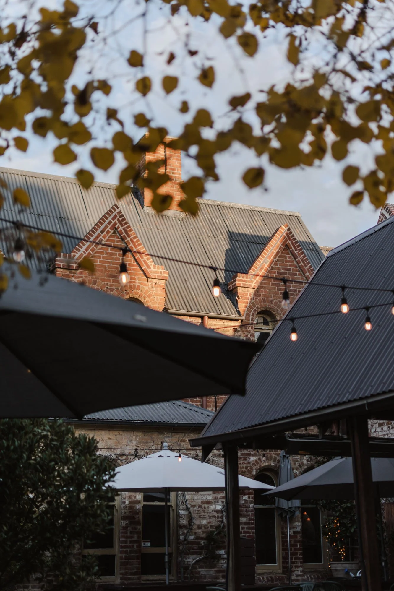 Bookings — Church Bar