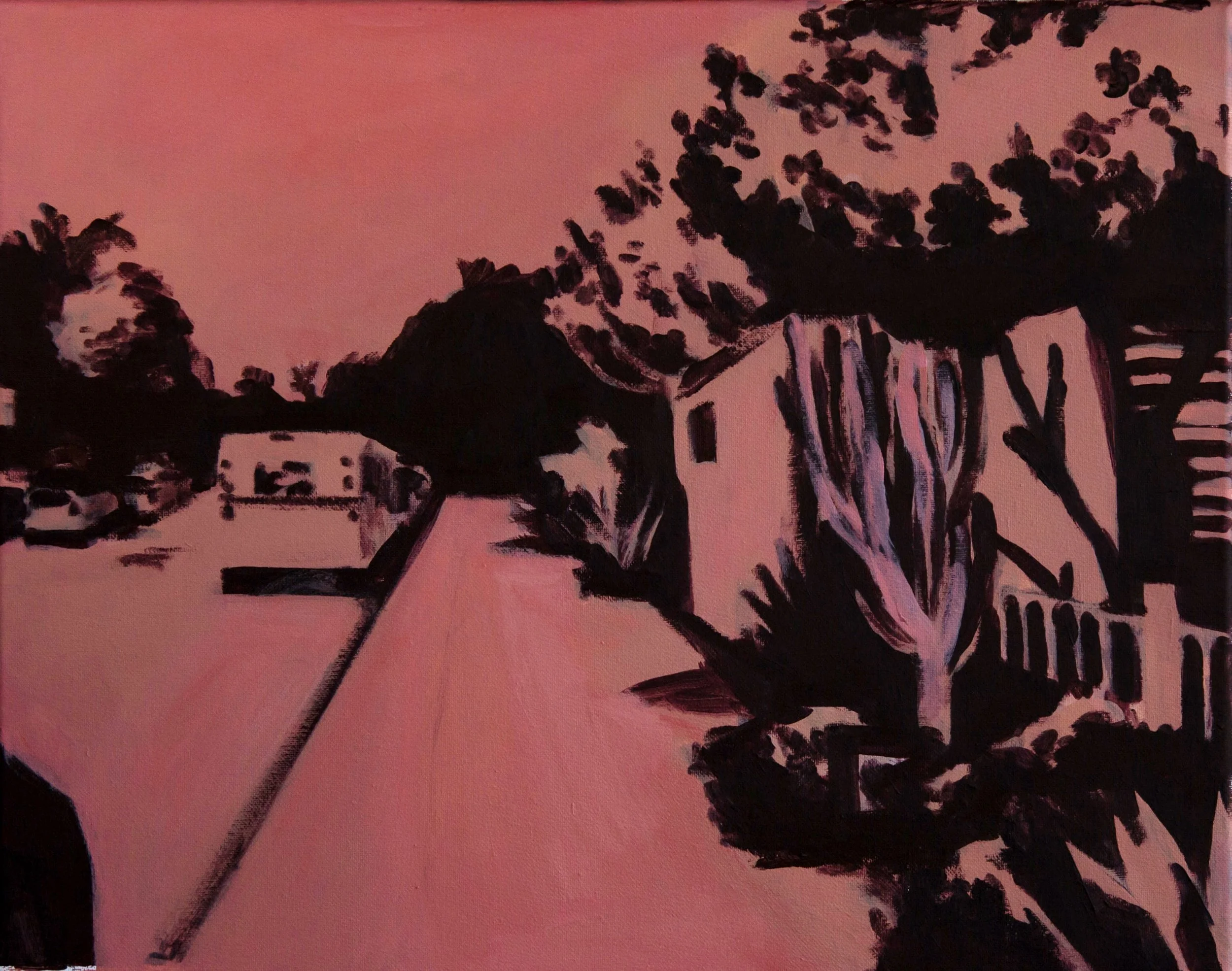2020_pinklemontree.JPG