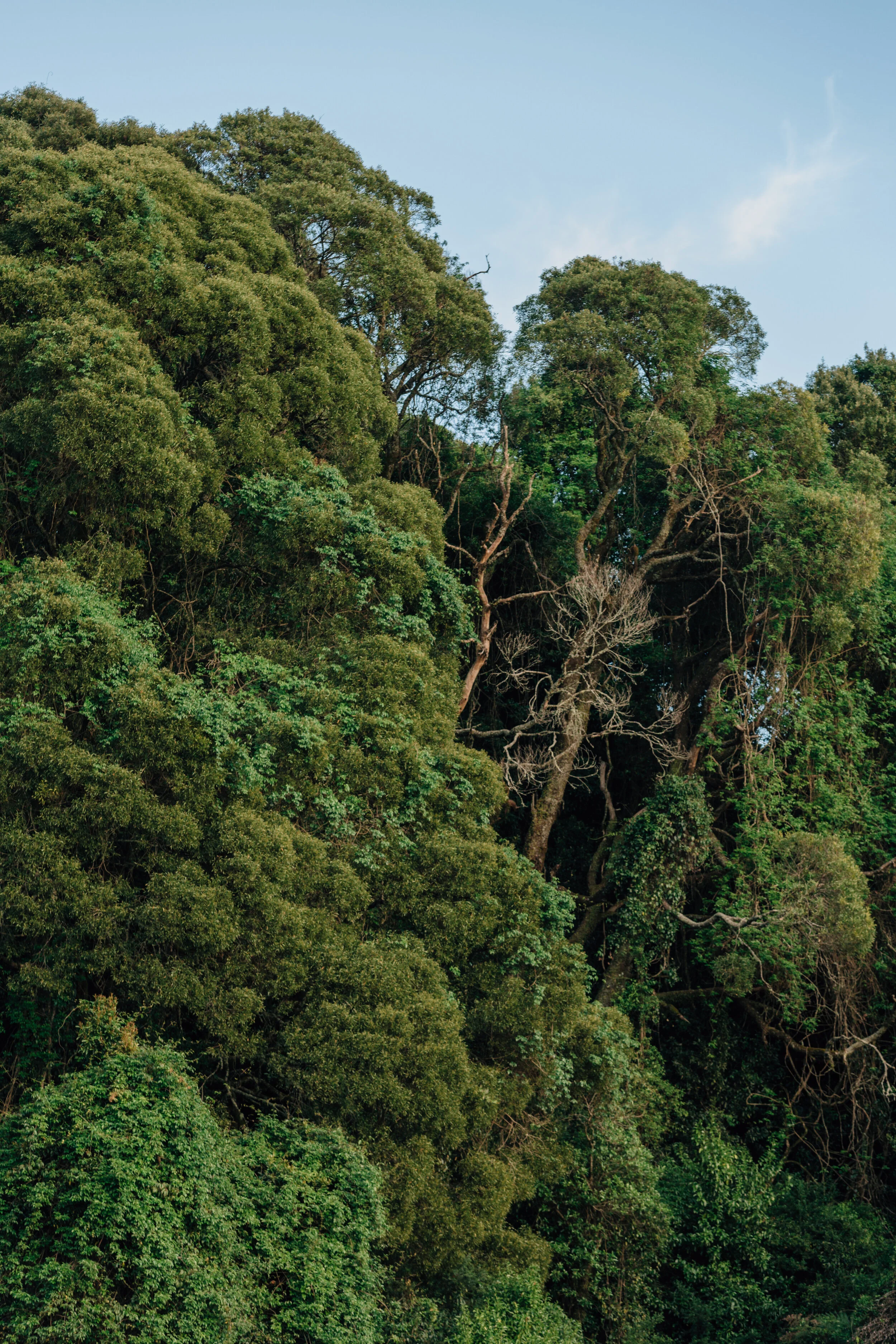 Camp Yarrawa_200.jpg