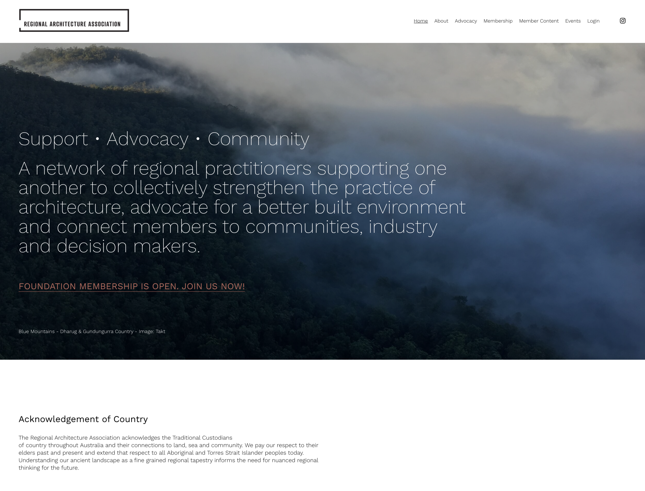 Website Screenshot.png