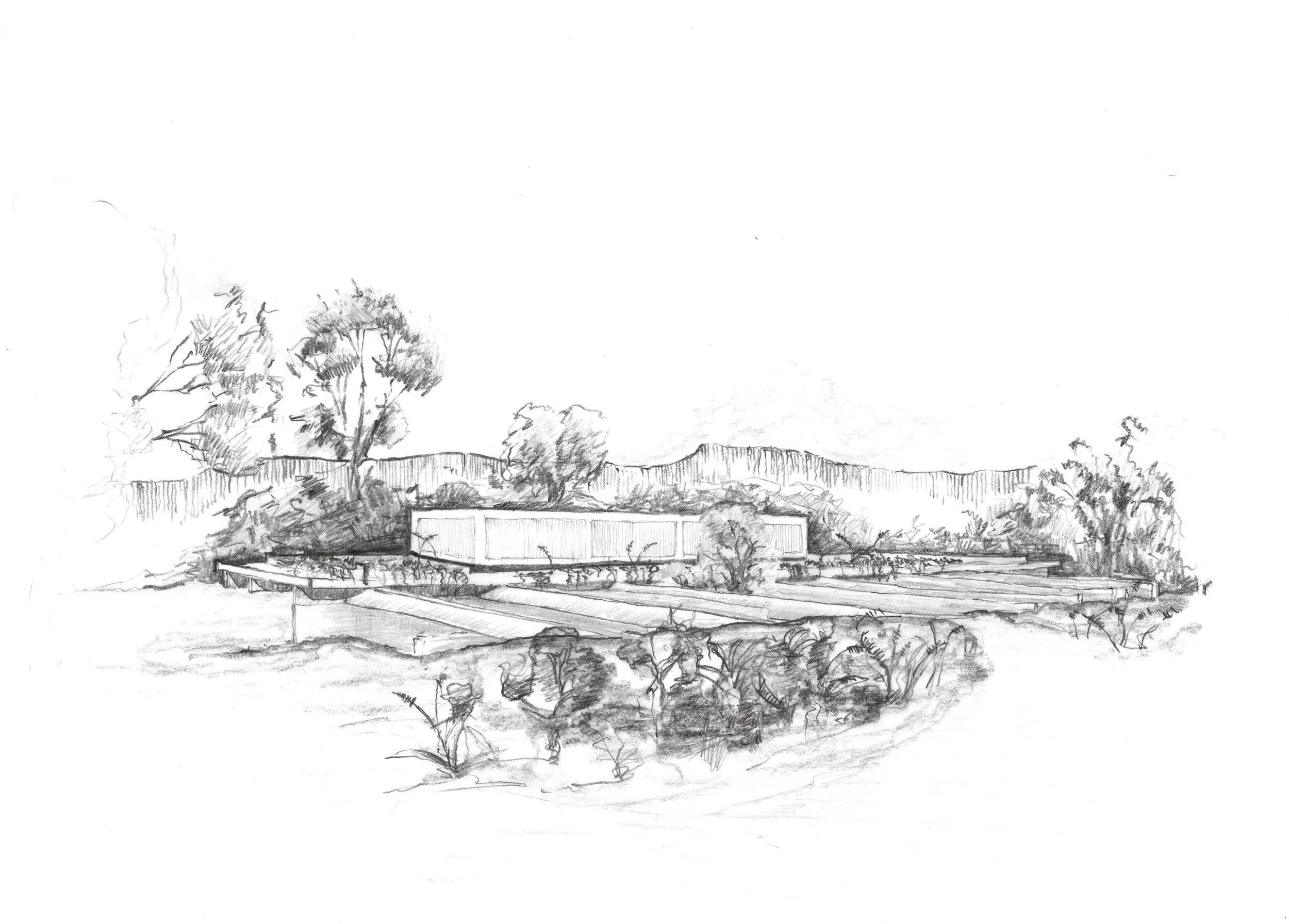 Road Perspective.jpg