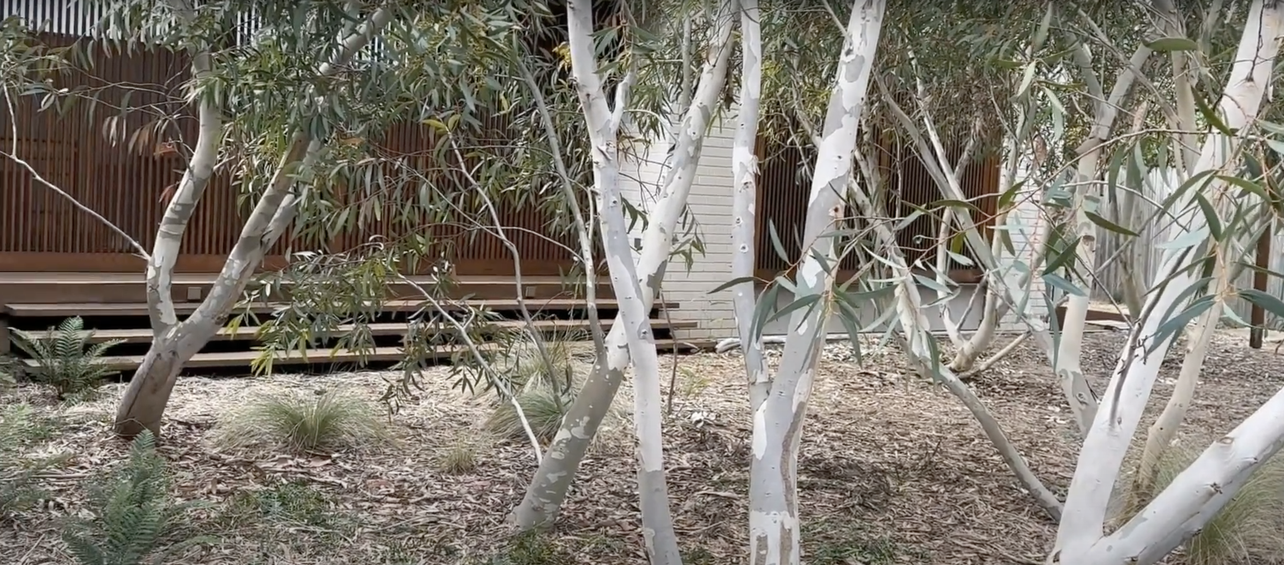 Sarah's Garden Tour3.png