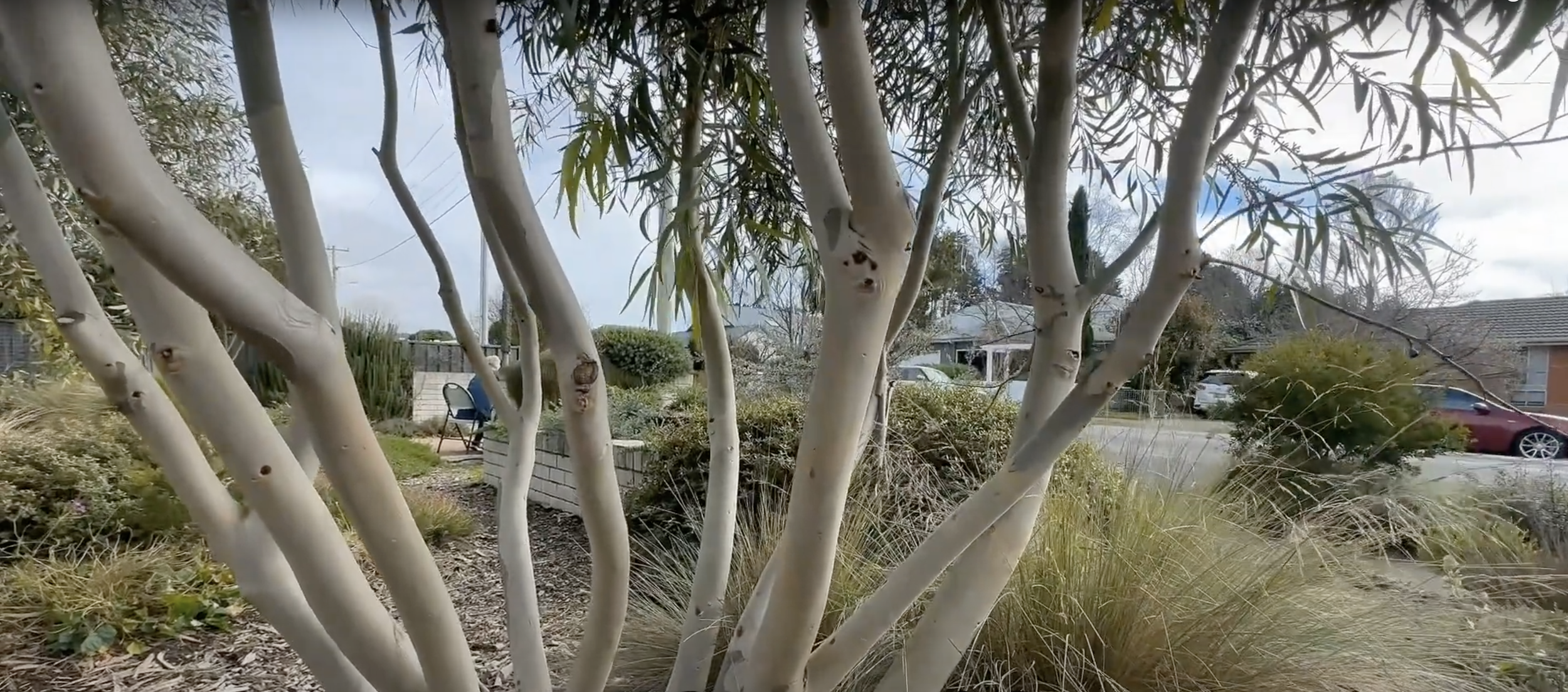 Sarah's Garden Tour9.png