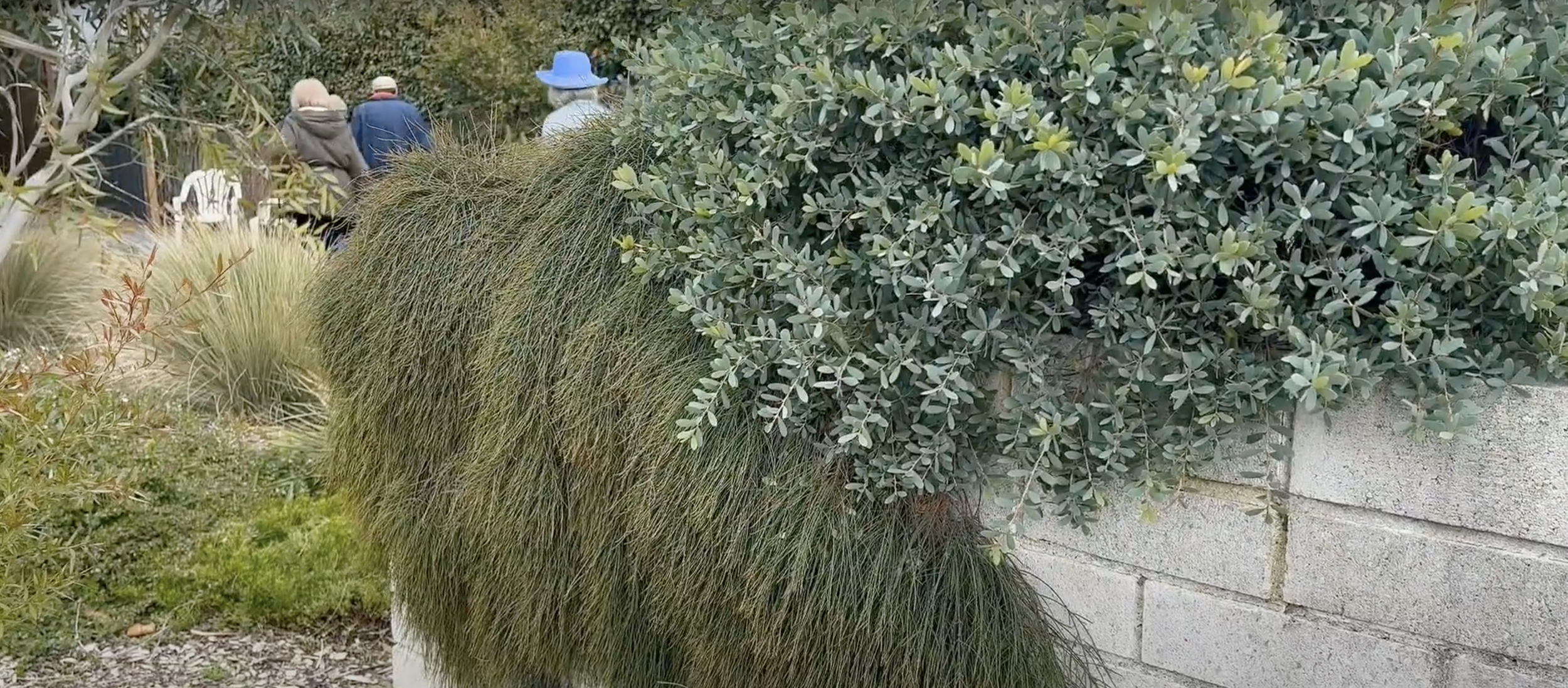 Sarah's Garden Tour17.png