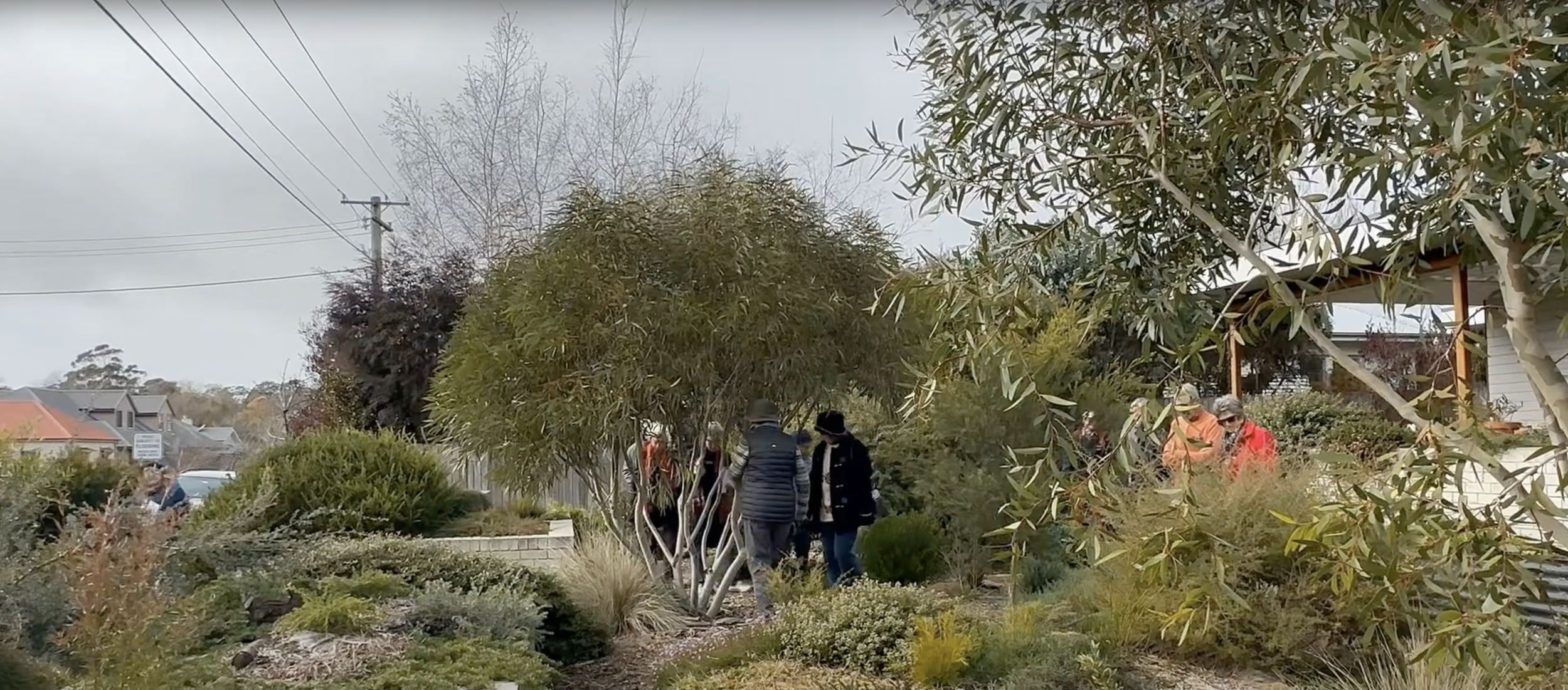 Sarah's Garden Tour23.png