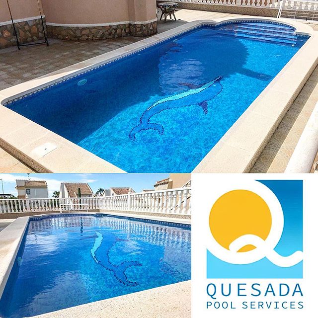 🐬💧☀️ #quesadapoolservices #swimmingpoolservice #poolmaintenance #swimmingpool #swimming #pool #summer #timeforaswim #ciudadquesada #quesada #rojales #algorfa #lafinca