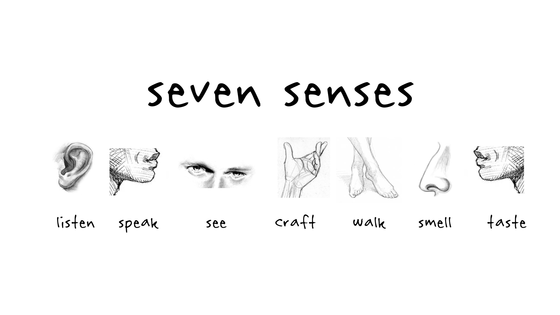 7senses.png