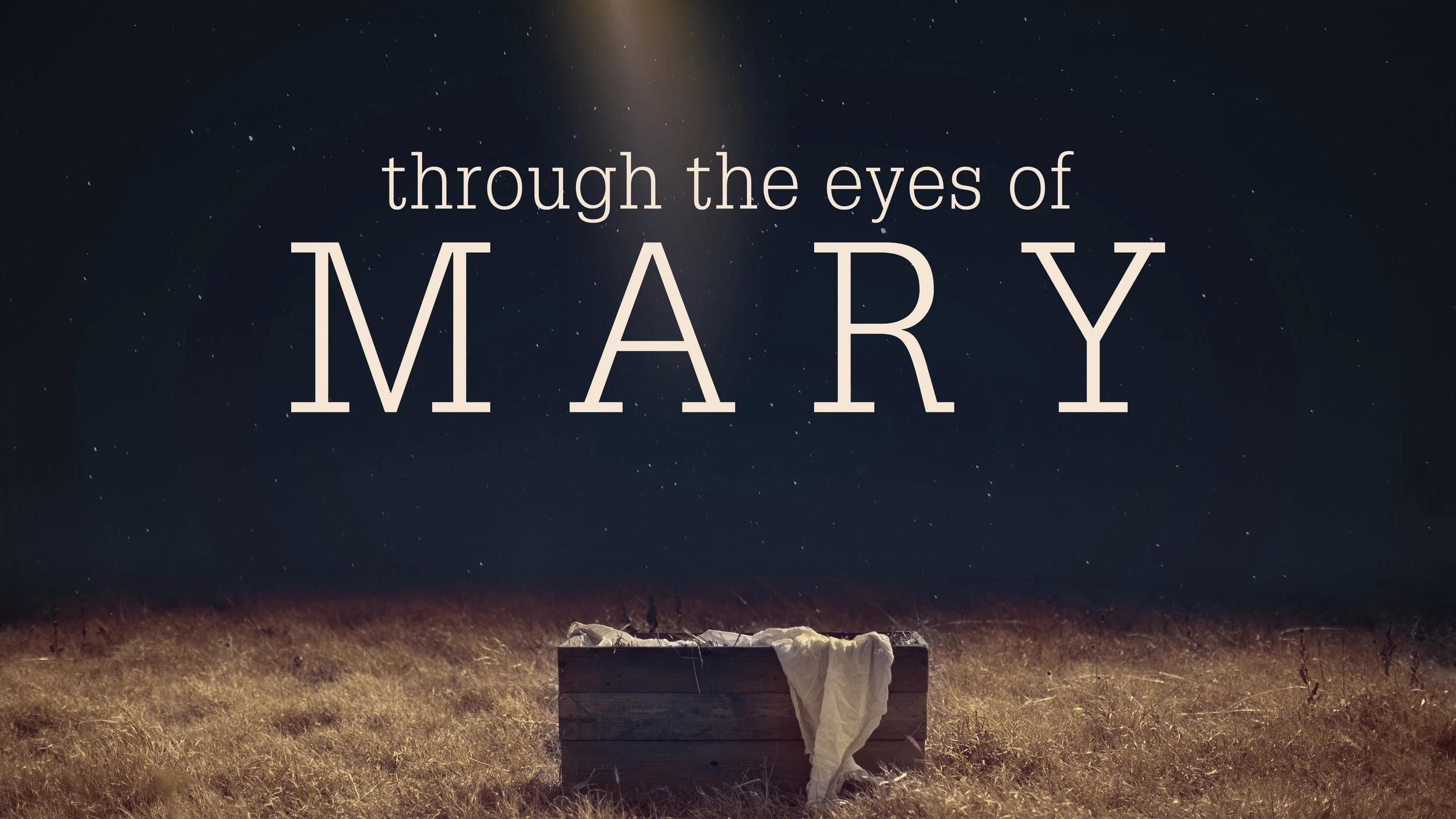 Through the eyes of Mary.jpg