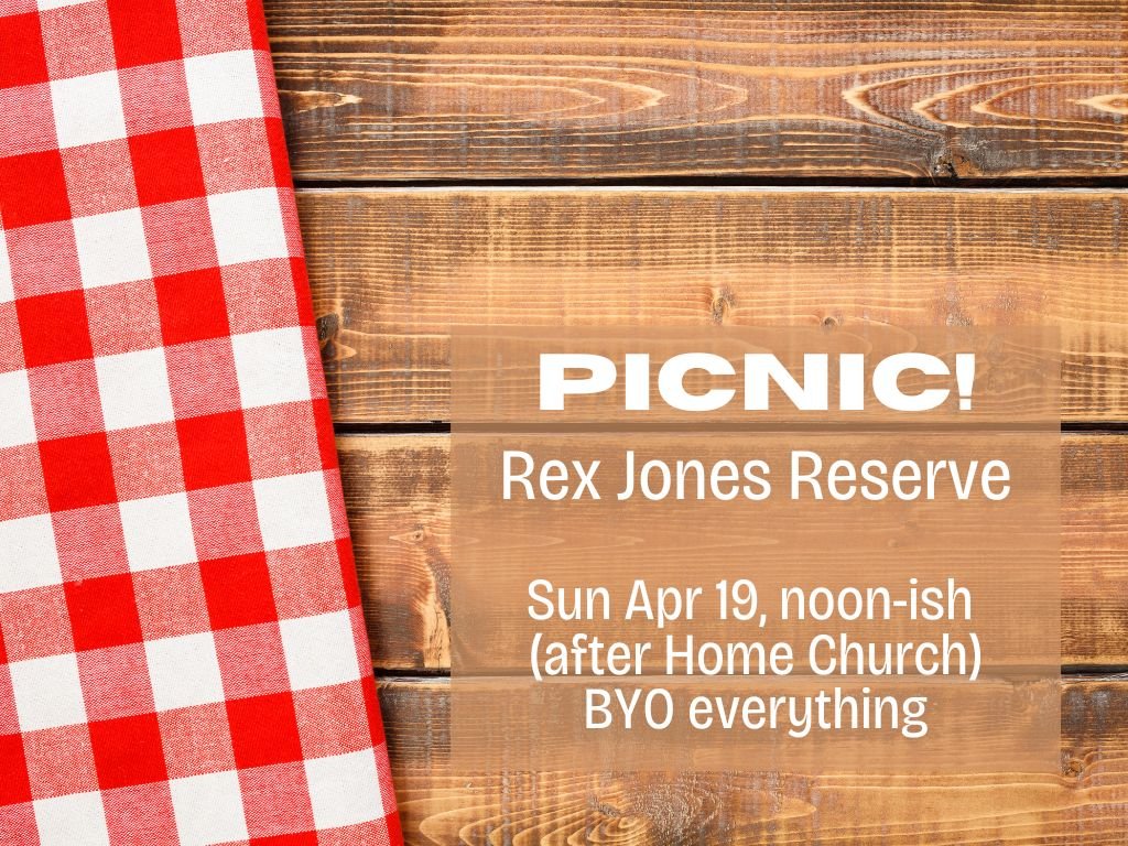 all-in picnic lunch
