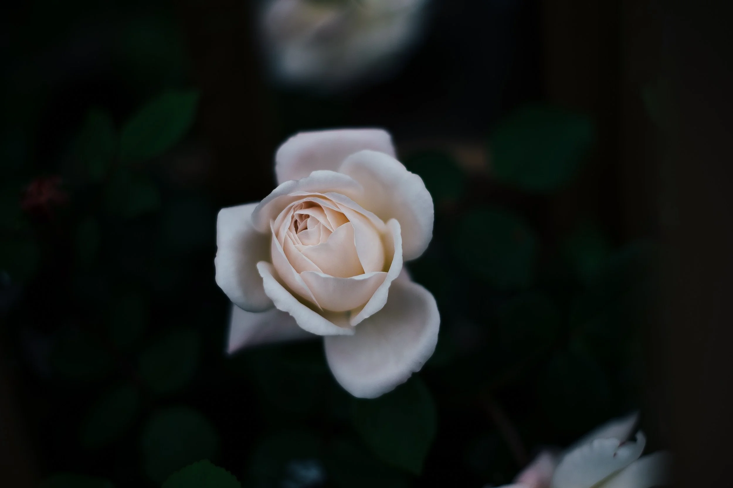 Grief
