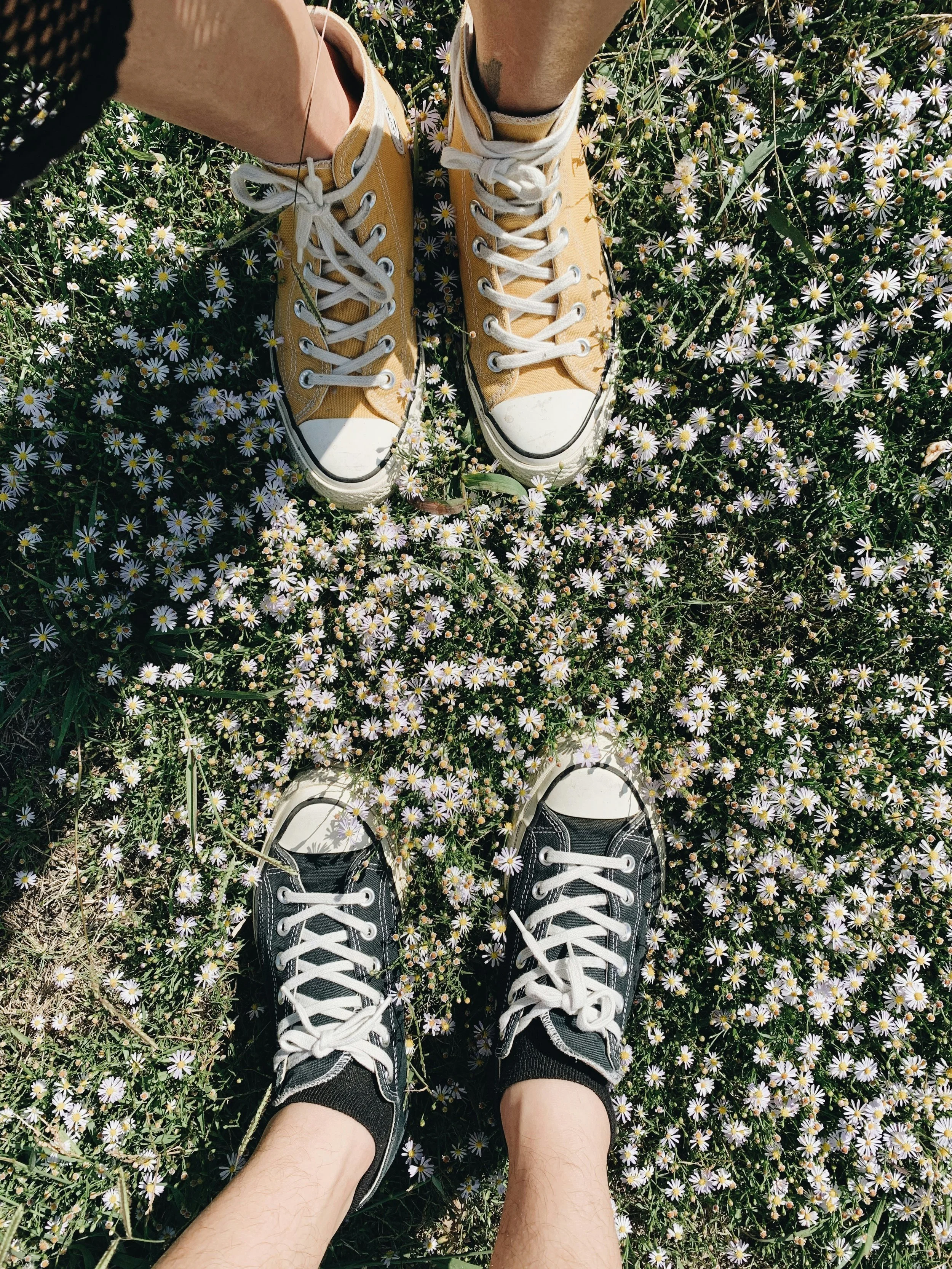 Understanding Relationship Dynamics: The Over-Functioning Pattern
