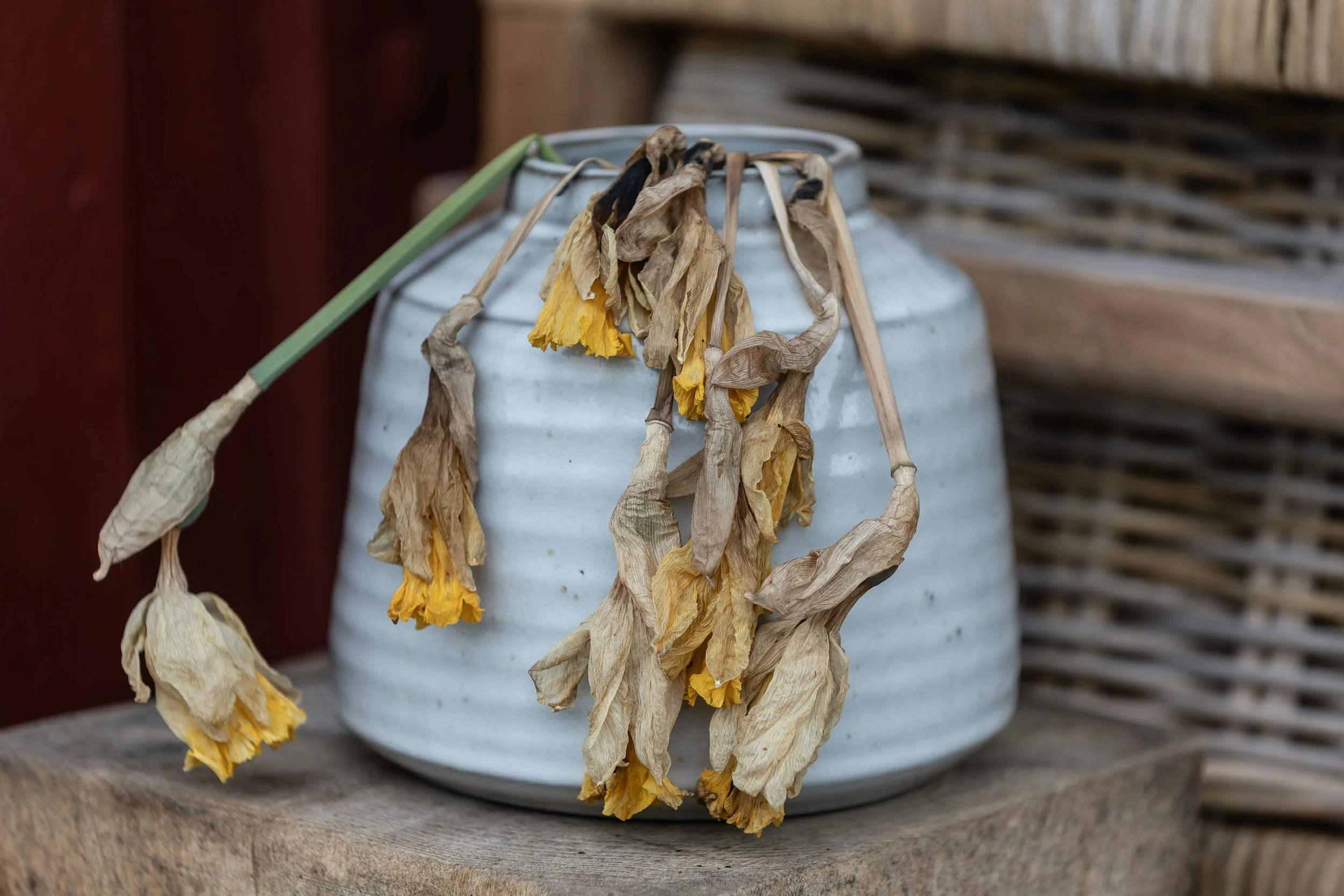 Understanding Emotional Responses to Favours: The Impact of Childhood Emotional Neglect