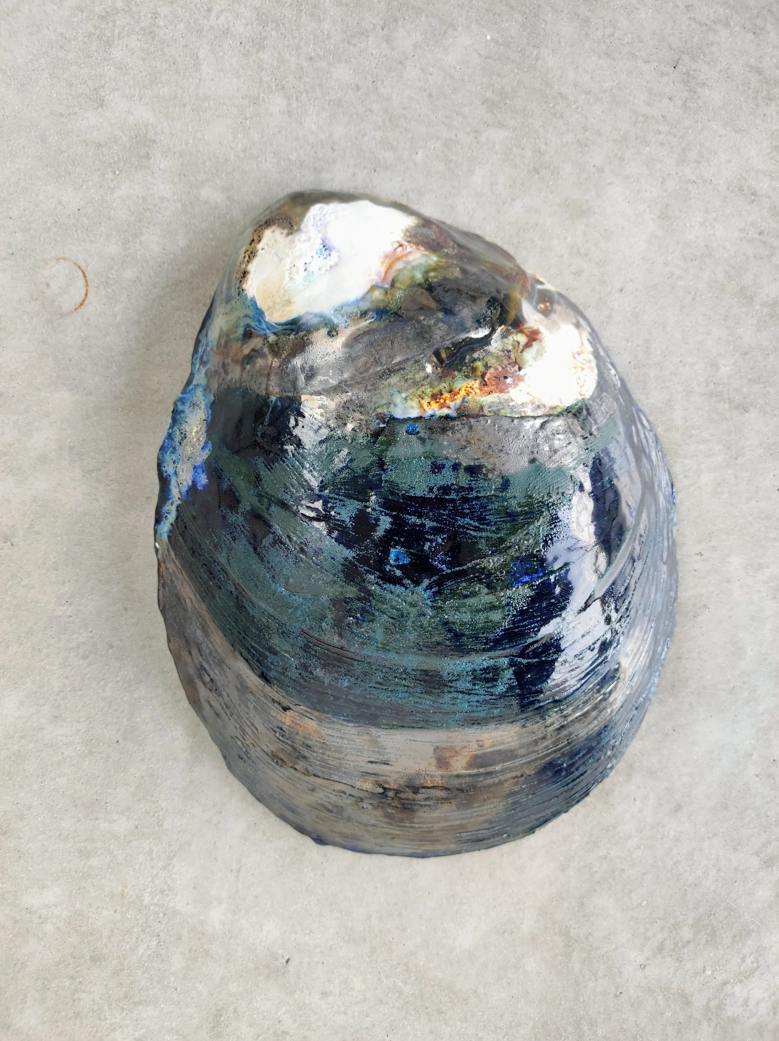 IMG_20240924_093436~2 (1).jpg