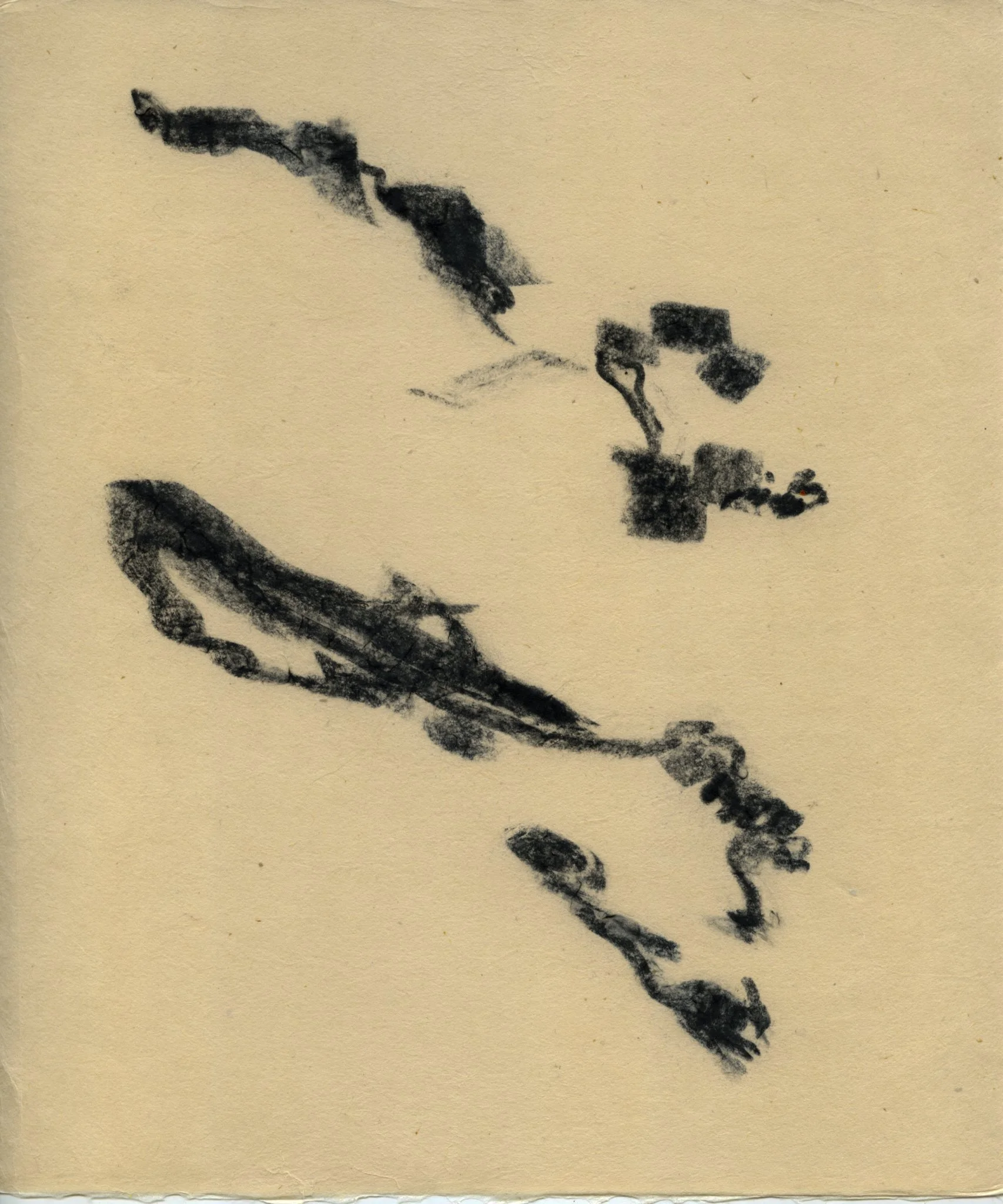 Untitled, 2025 Charcoal on Japan paper