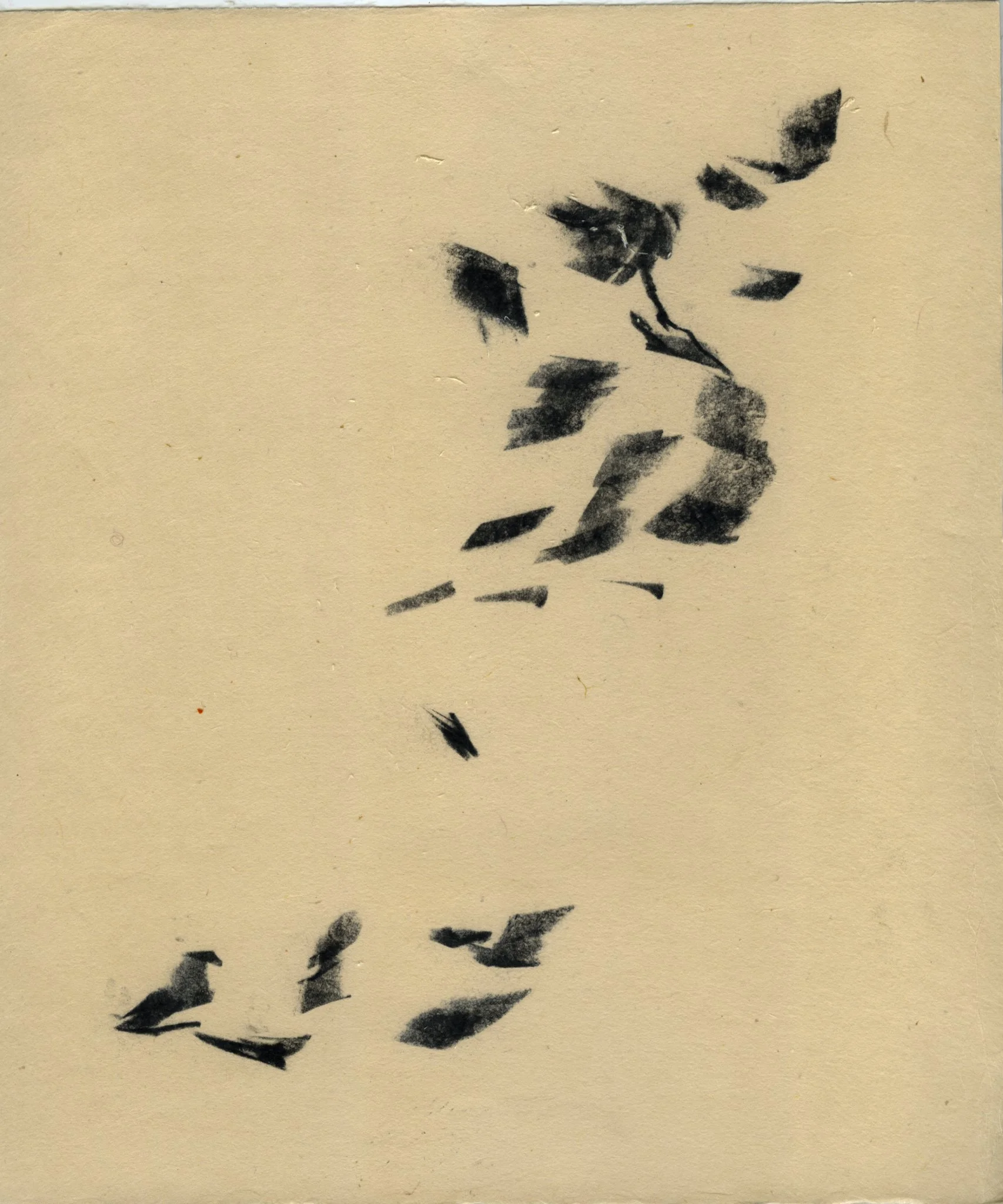Untitled, 2025 Charcoal on Japan paper