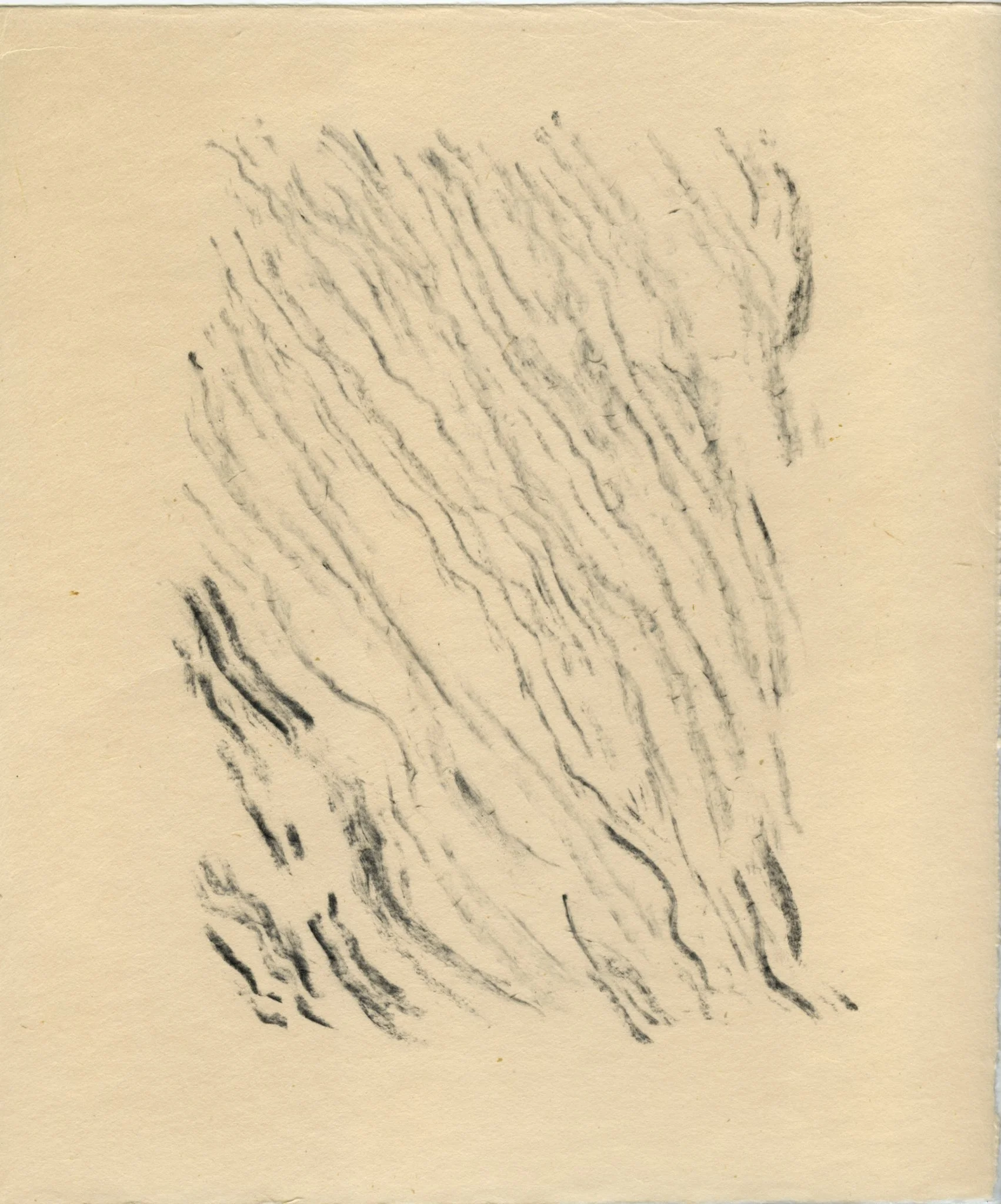 Heidi Hart Art-6805.jpg