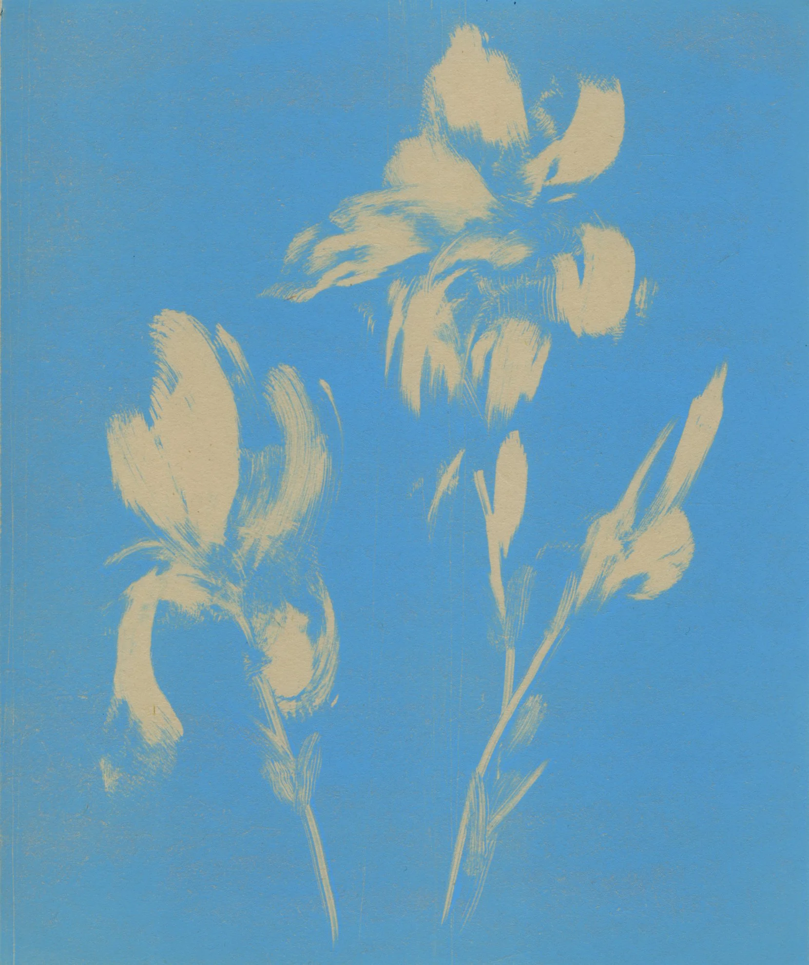 Heidi Hart Art-6815.jpg