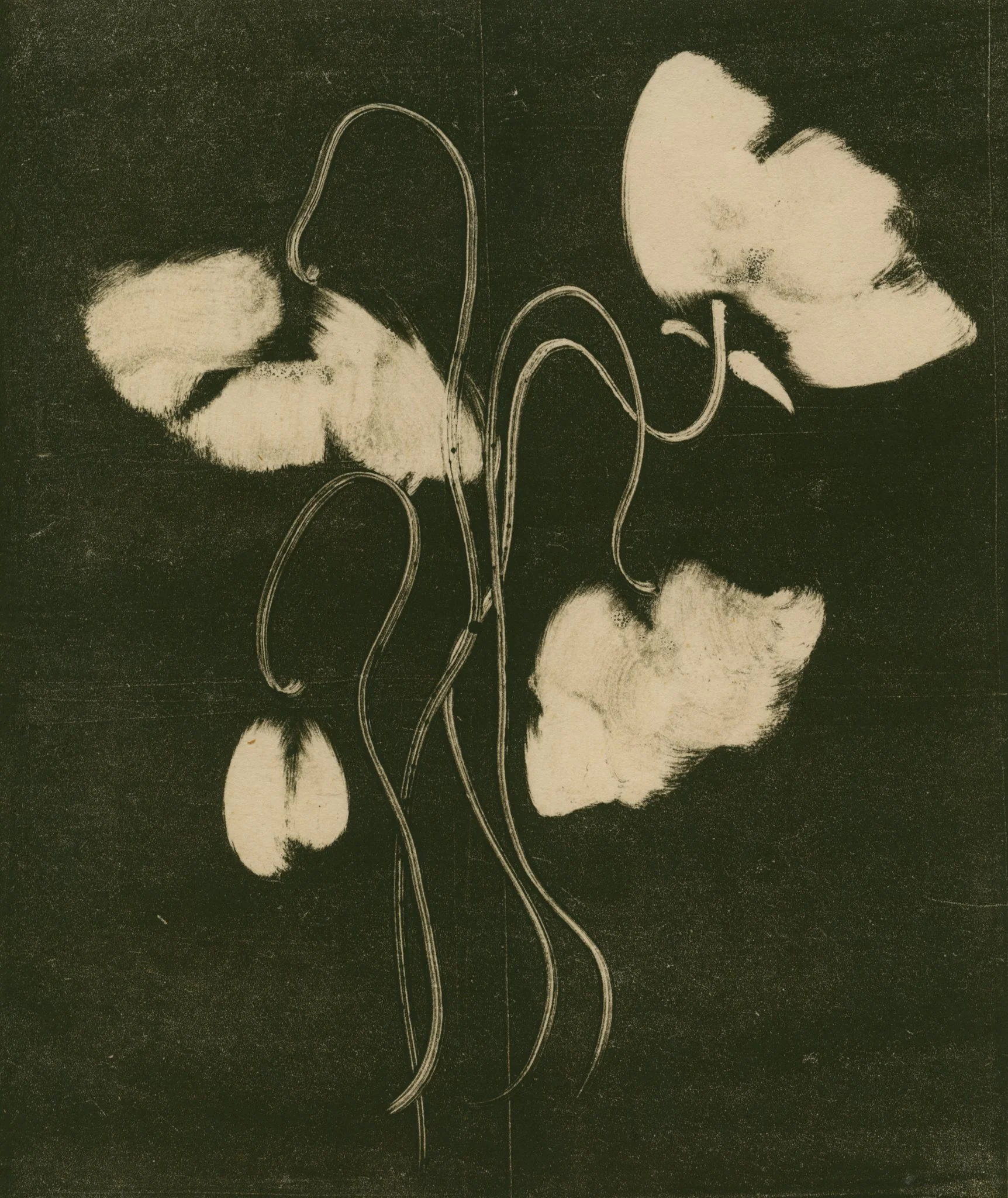 Heidi Hart Art-6813.jpg