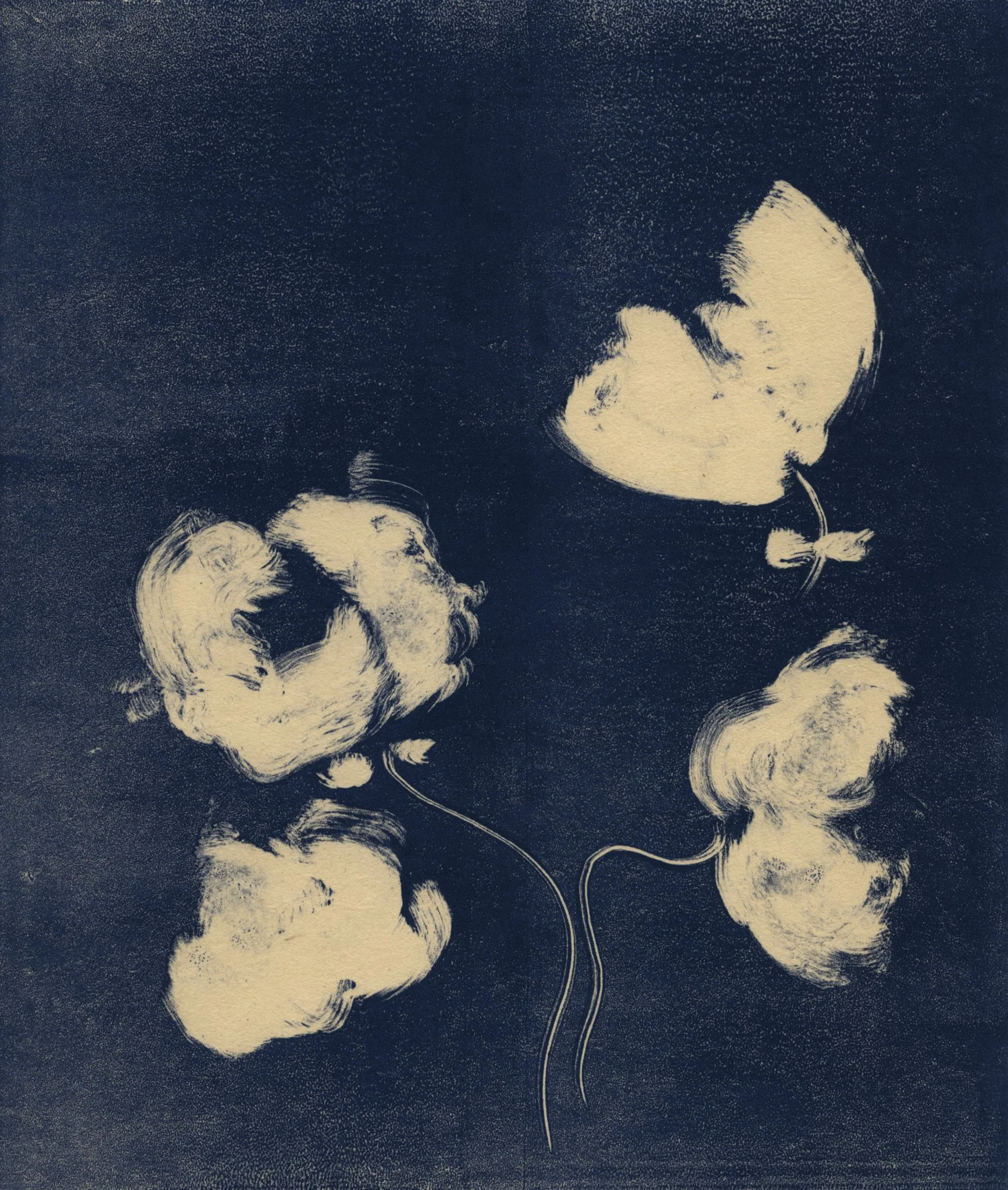  August, 2025  One-of-a-kind handmade monotype drawing on Japan paper   