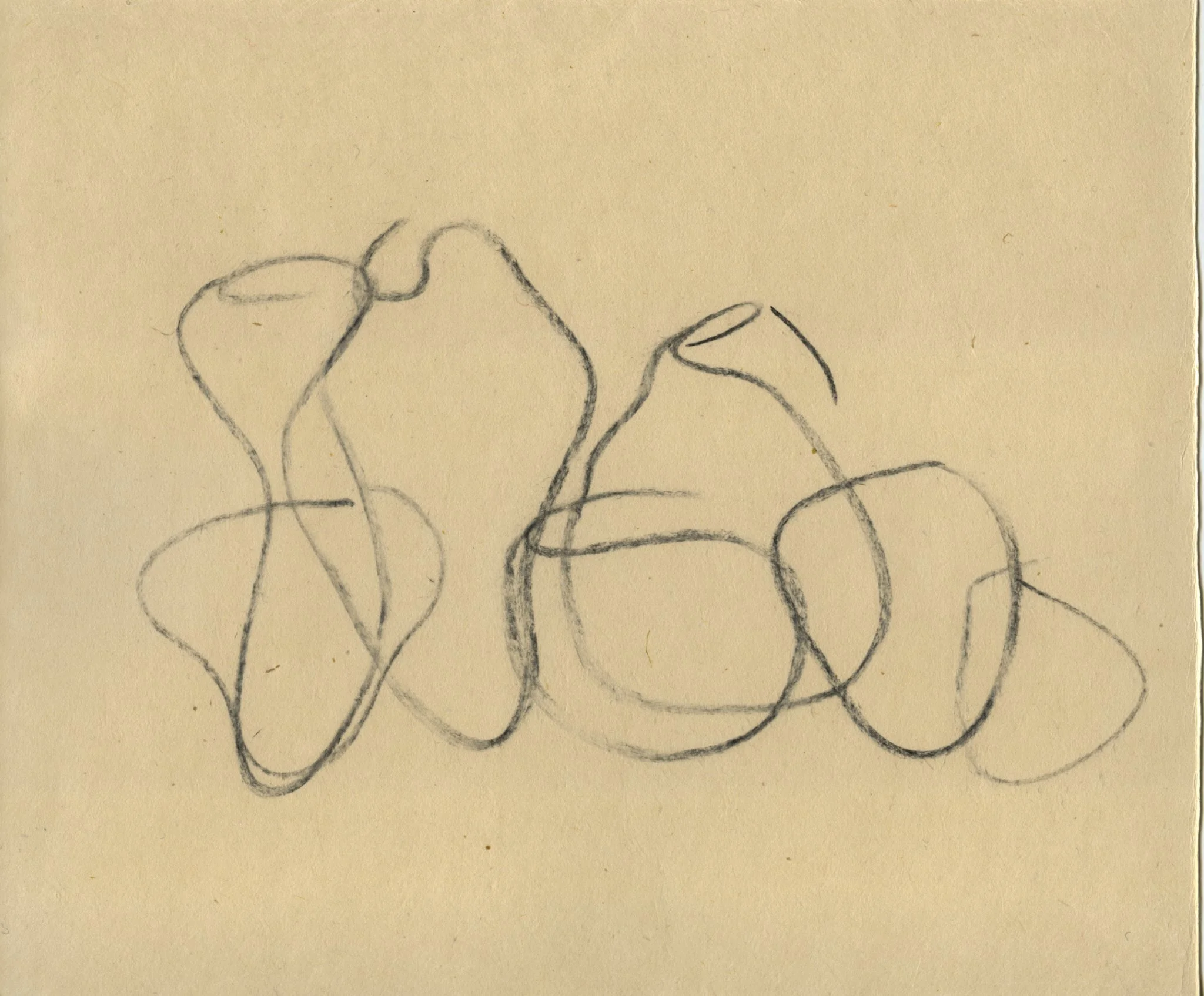  på hylla, 2025  charcoal on washi 