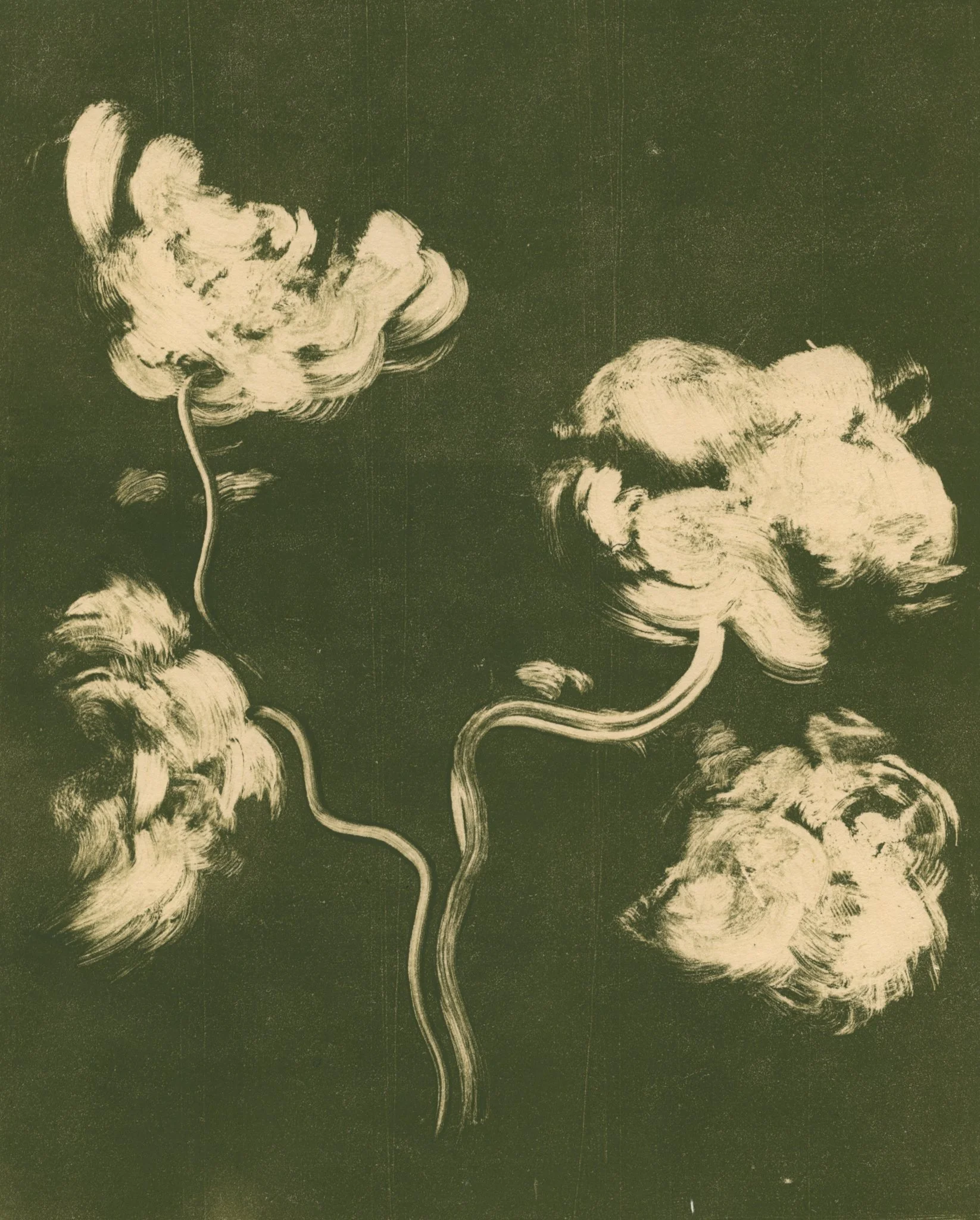  Lincoln green flower, 2022  One-of-a-kind handmade monotype drawing on Japan paper   