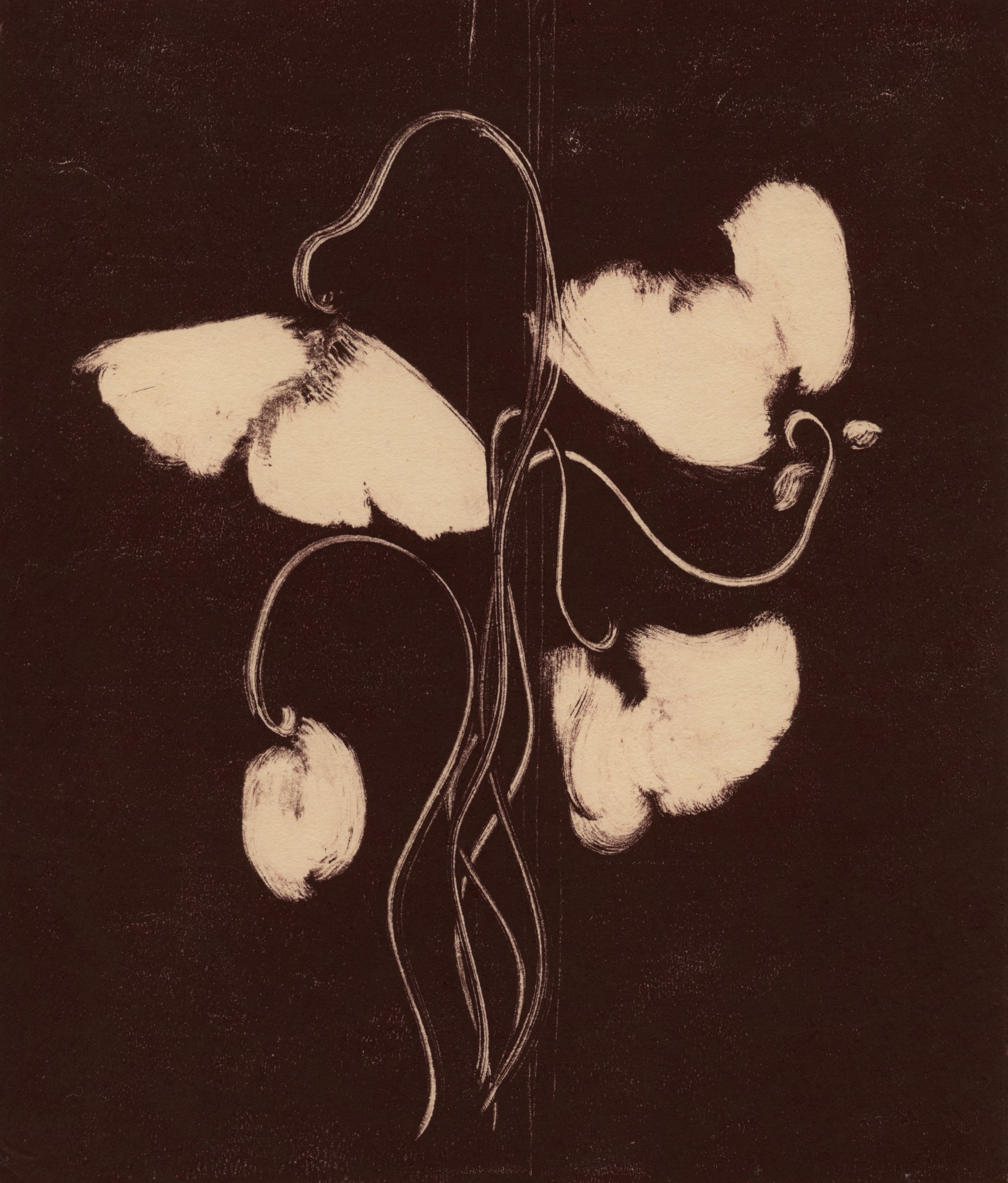  “Bloom in Dark Reddish Brown” 2025  One-of-a-kind handmade monotype drawing on Japan paper, 2025  Heidi Hundseth Hart 