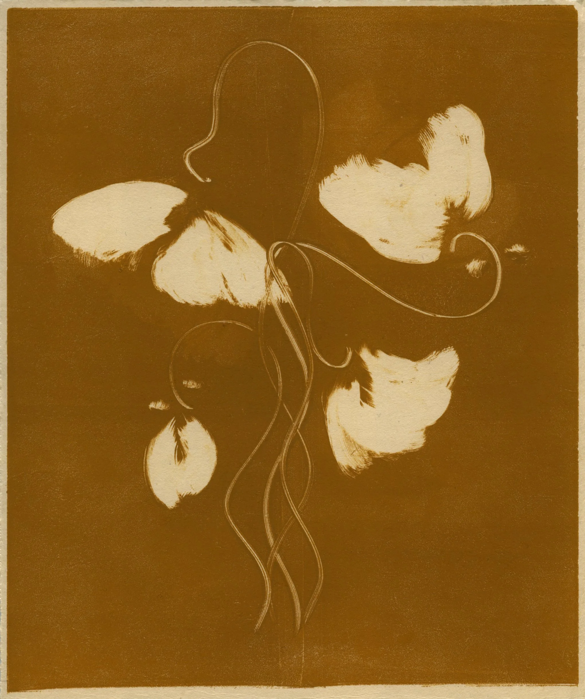 Heidi Hart Art-7491.jpg