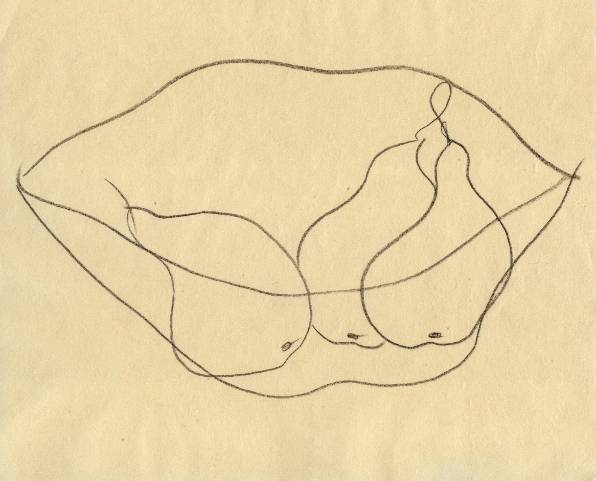 Heidi Hart Art-7495.jpg