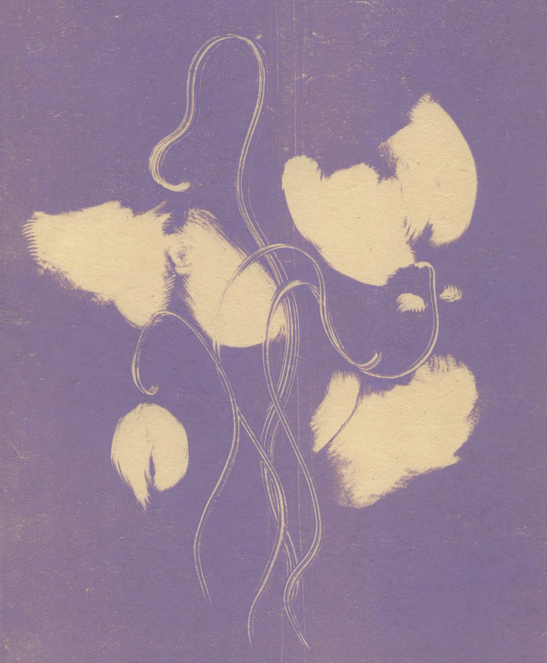  purple bloom, 2025  monotype on washi 