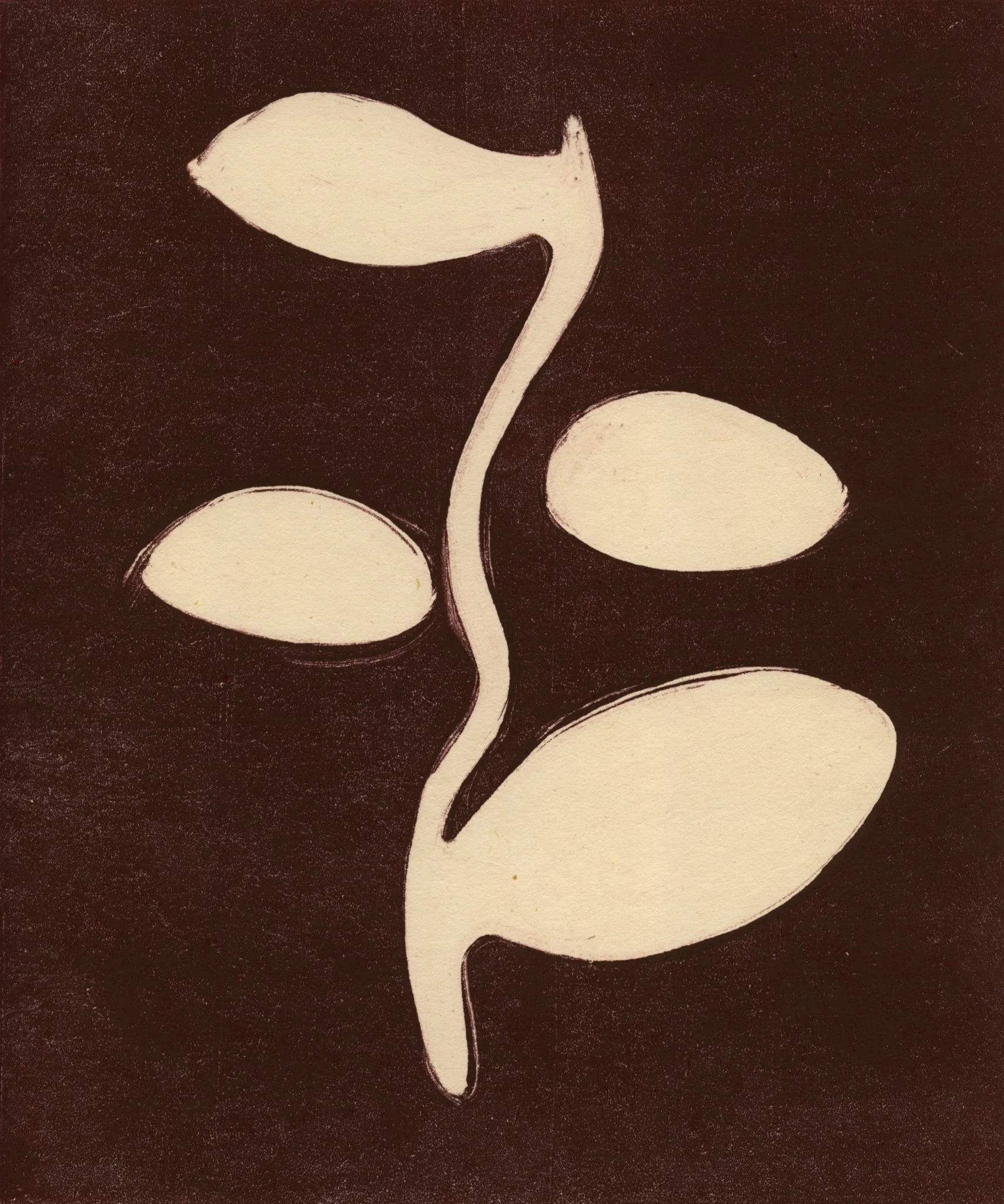  plante i brunt, 2024  monotype on washi  