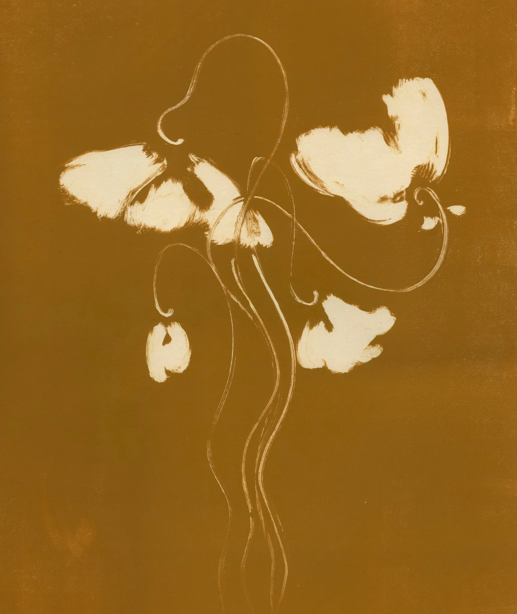  A spring to come, 2026  Monotype drawing on washi  